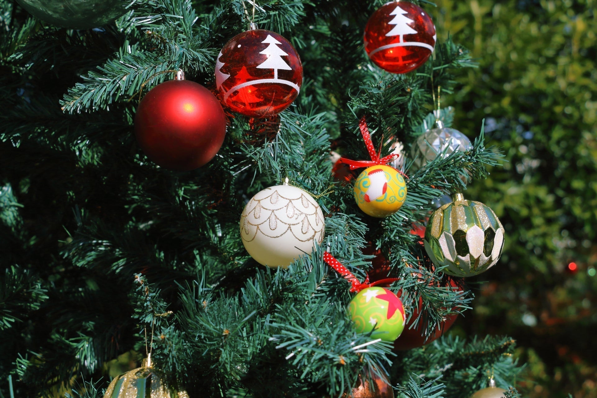 【クリスマスディナーを彩る】赤と緑のパスタから冬の根菜料理まで