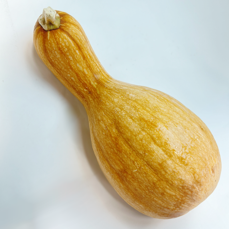 【ECサイト担当者おすすめ】濃厚で上品な甘さ「バターナッツかぼちゃ」