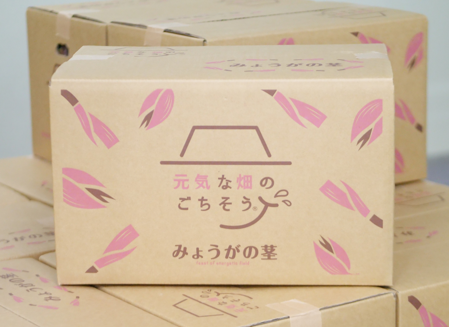 もったい茎(30袋)