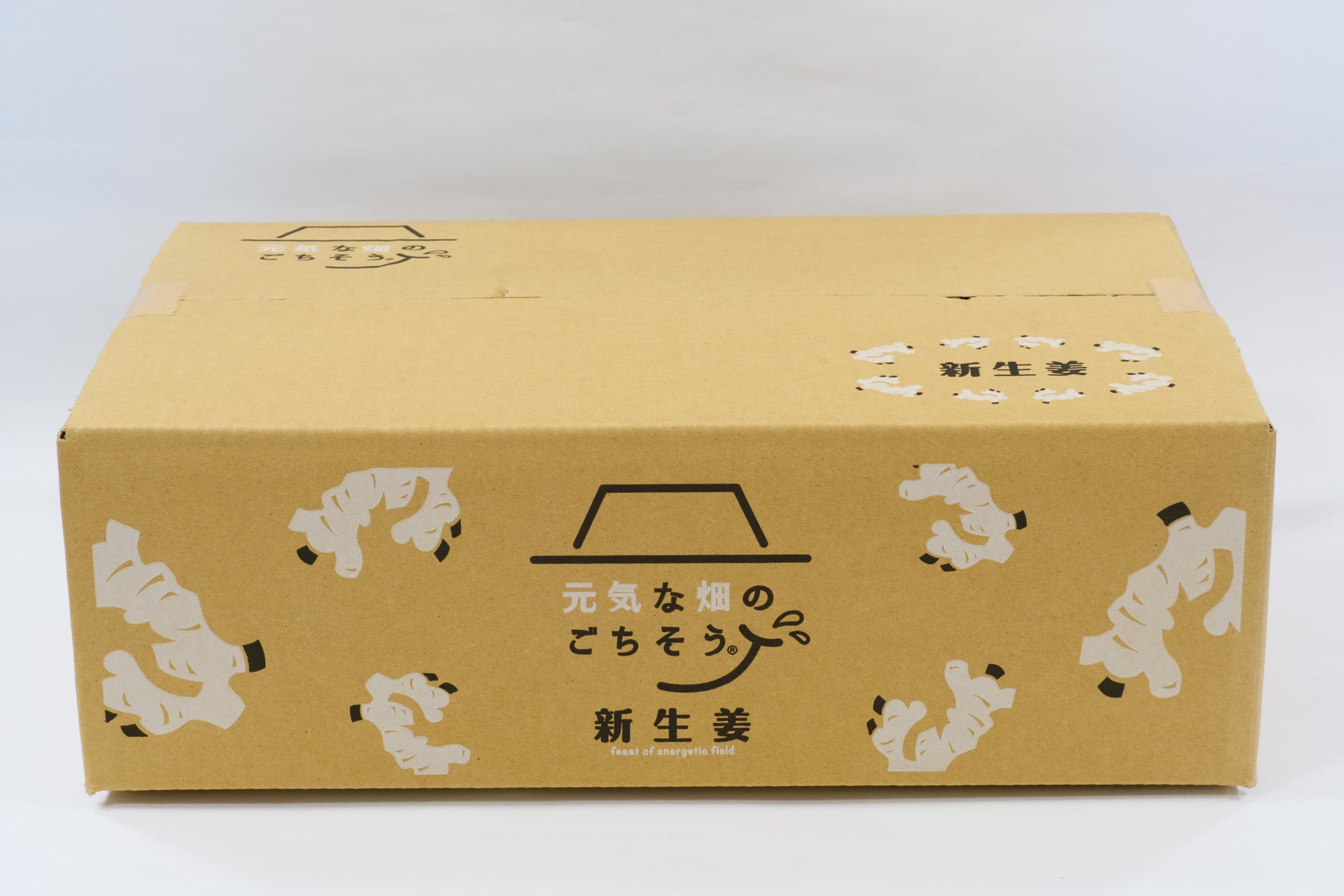 新しょうが(4kg)