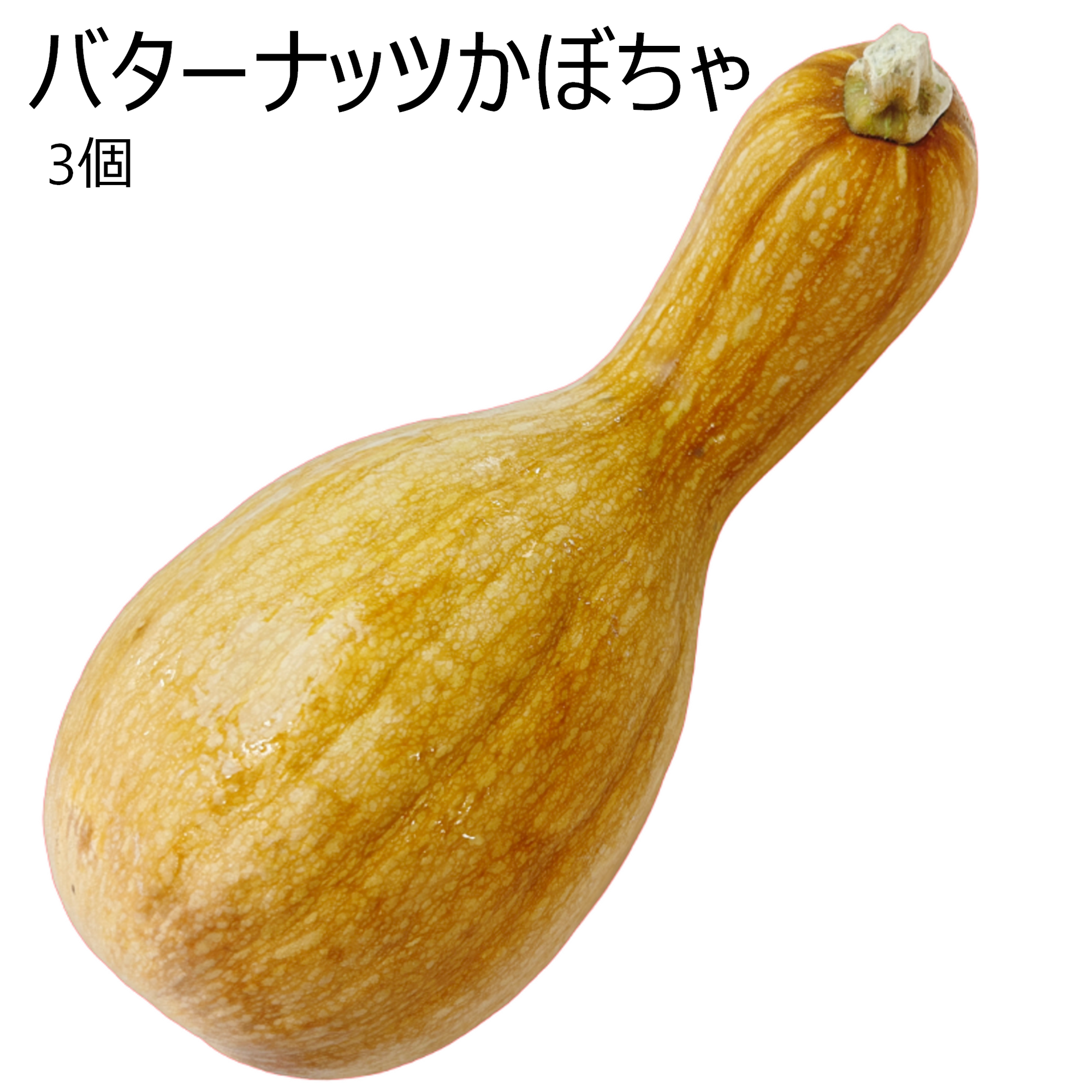 バターナッツかぼちゃ