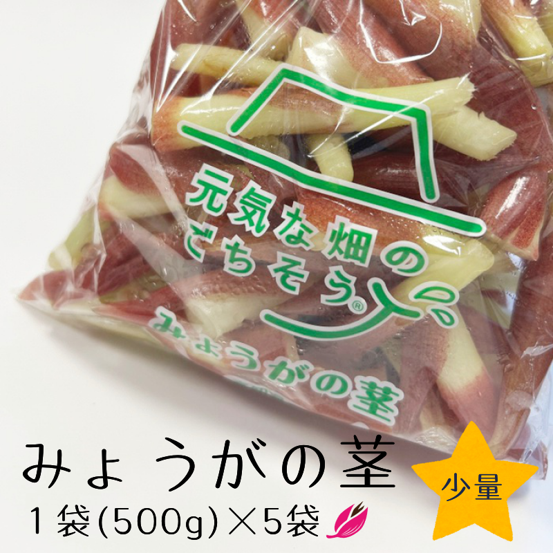 秋みょうが地下茎100cmサイズ約200本約3.4kg9000円 【公式通販】 秋みょうが地下茎100cmサイズ約200本約3.4kg9000円 【公式通販】