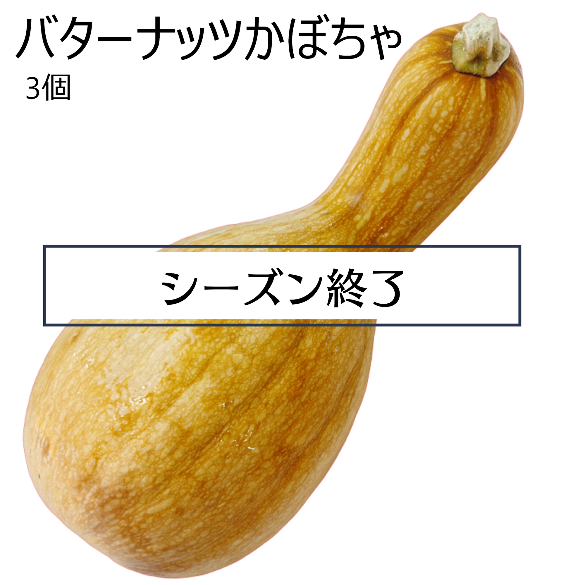 バターナッツかぼちゃ