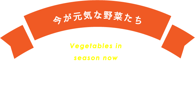 今が元気な野菜たち 旬のごちそう