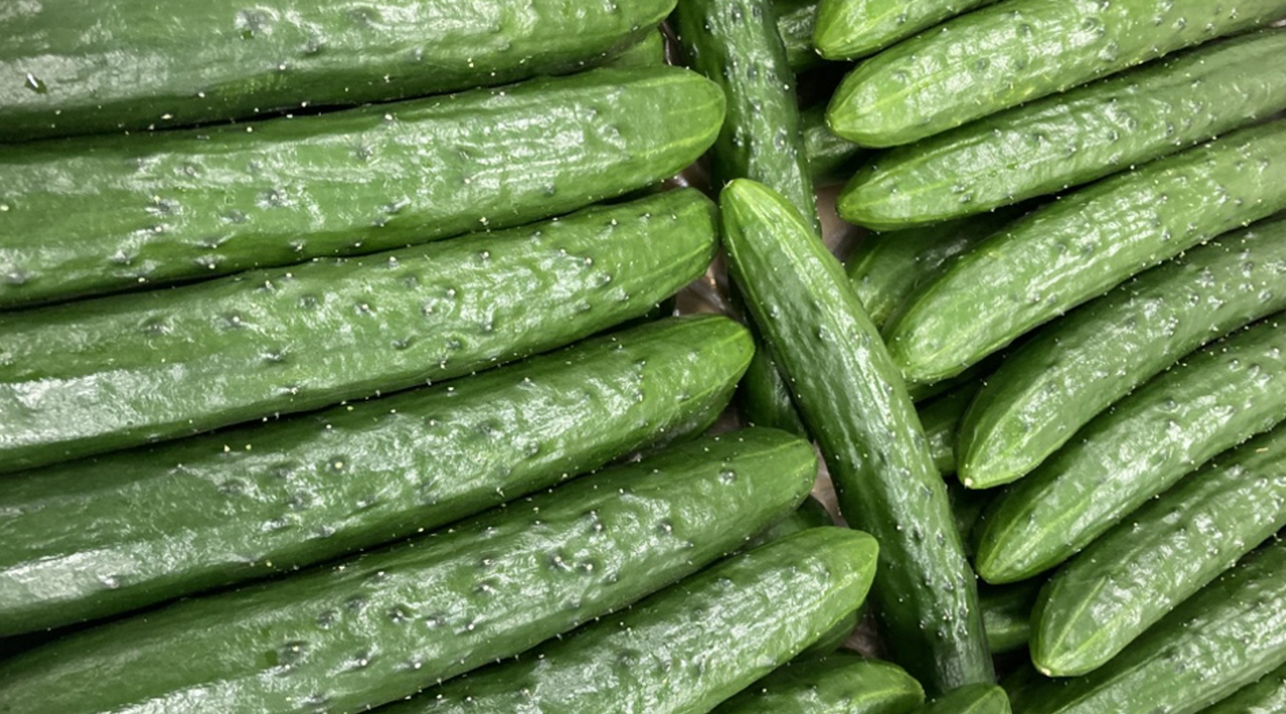 新年の健康は“きゅうり”から！冬のデトックス野菜レシピ