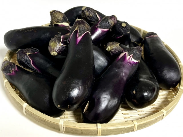 高知県産なすの旬と美味しい食べ方｜夏なす・秋なす・冬春なすの特徴とレシピ