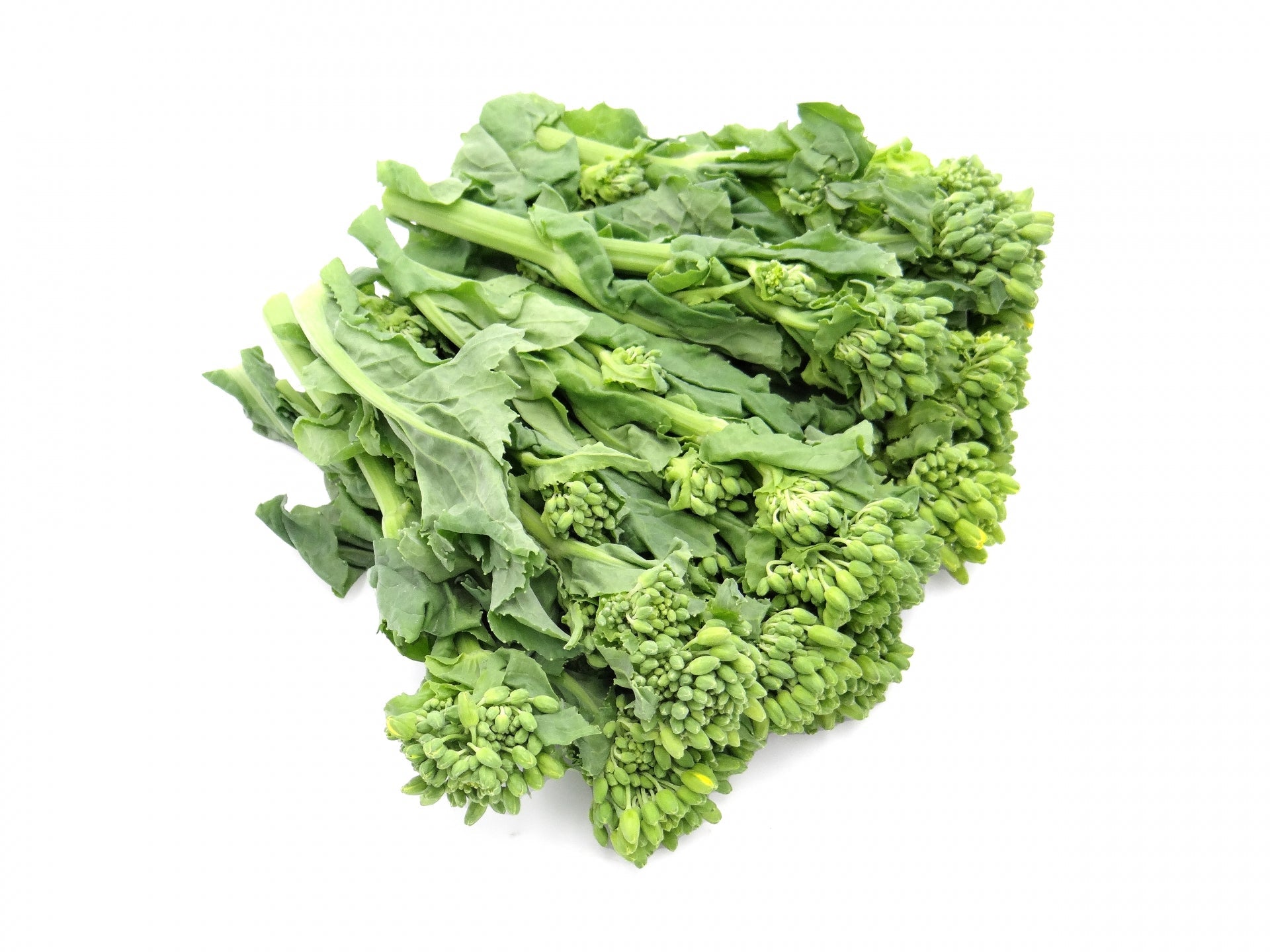 高知県産なばな ― 春を届ける業務用野菜　