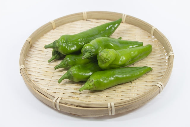 ししとうの魅力とおすすめレシピ｜オールシーズン楽しめる万能野菜