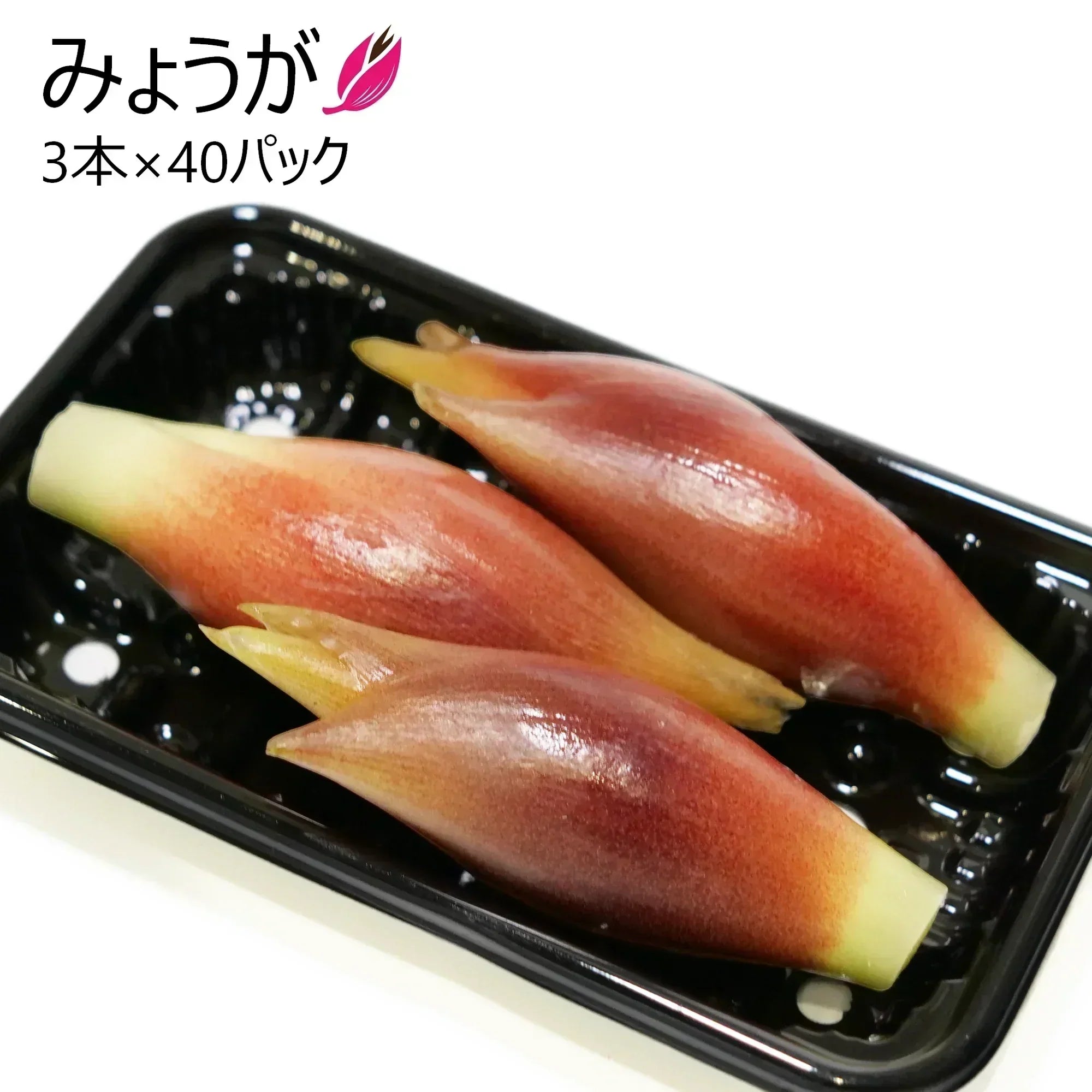 みょうがを食べましょうのお誘い。