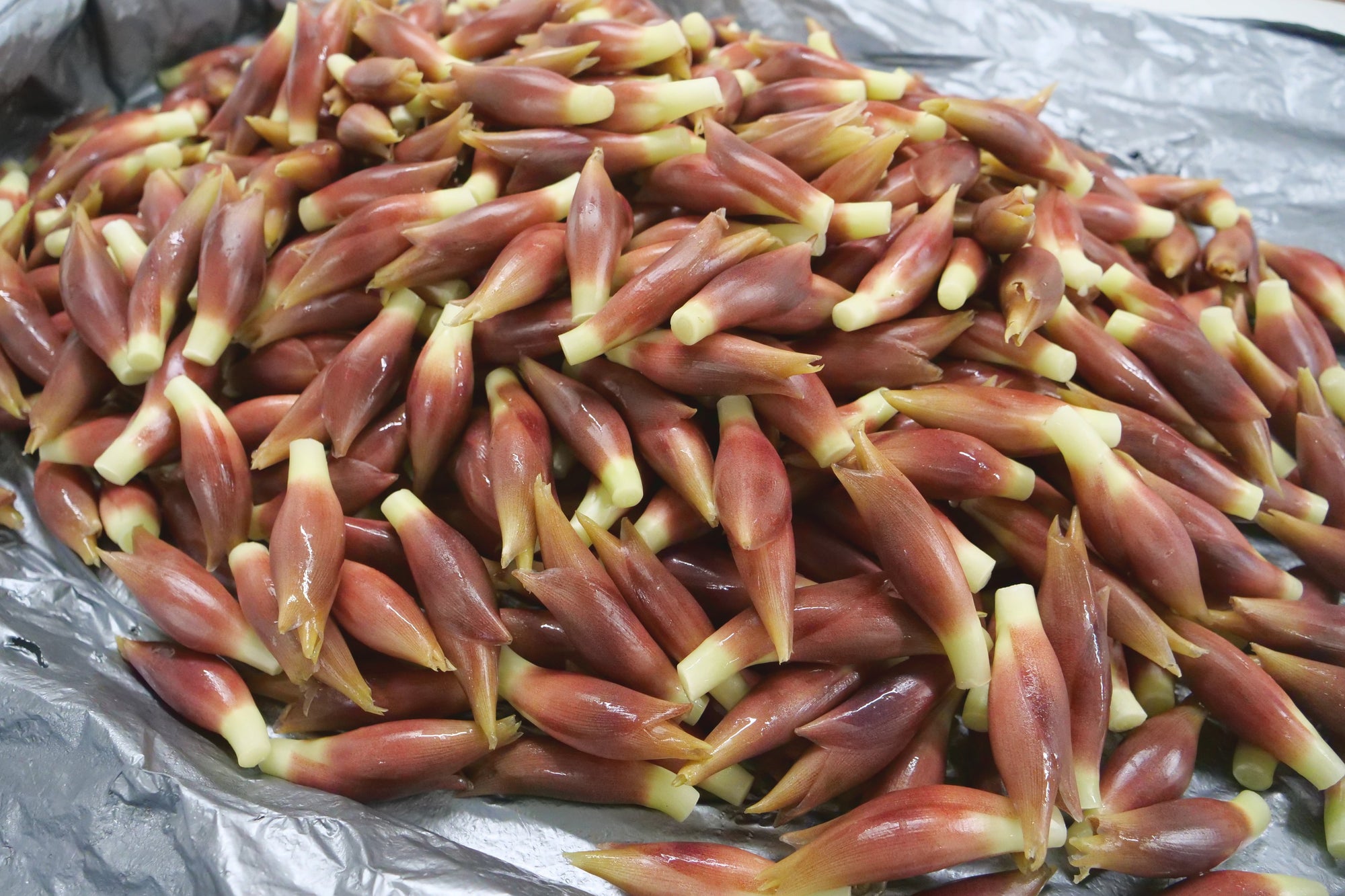 みょうがは「少し買う野菜」ではない ― 計画的に多めに確保したくなる理由