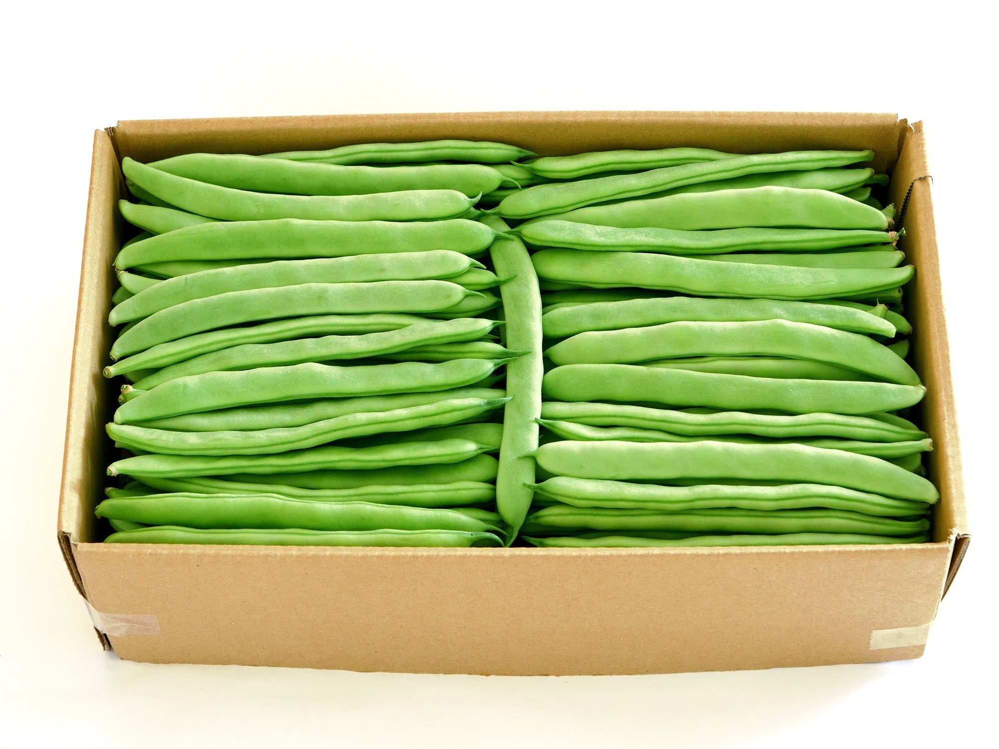 冬から春にかけて楽しむあき豆ってどんな豆？