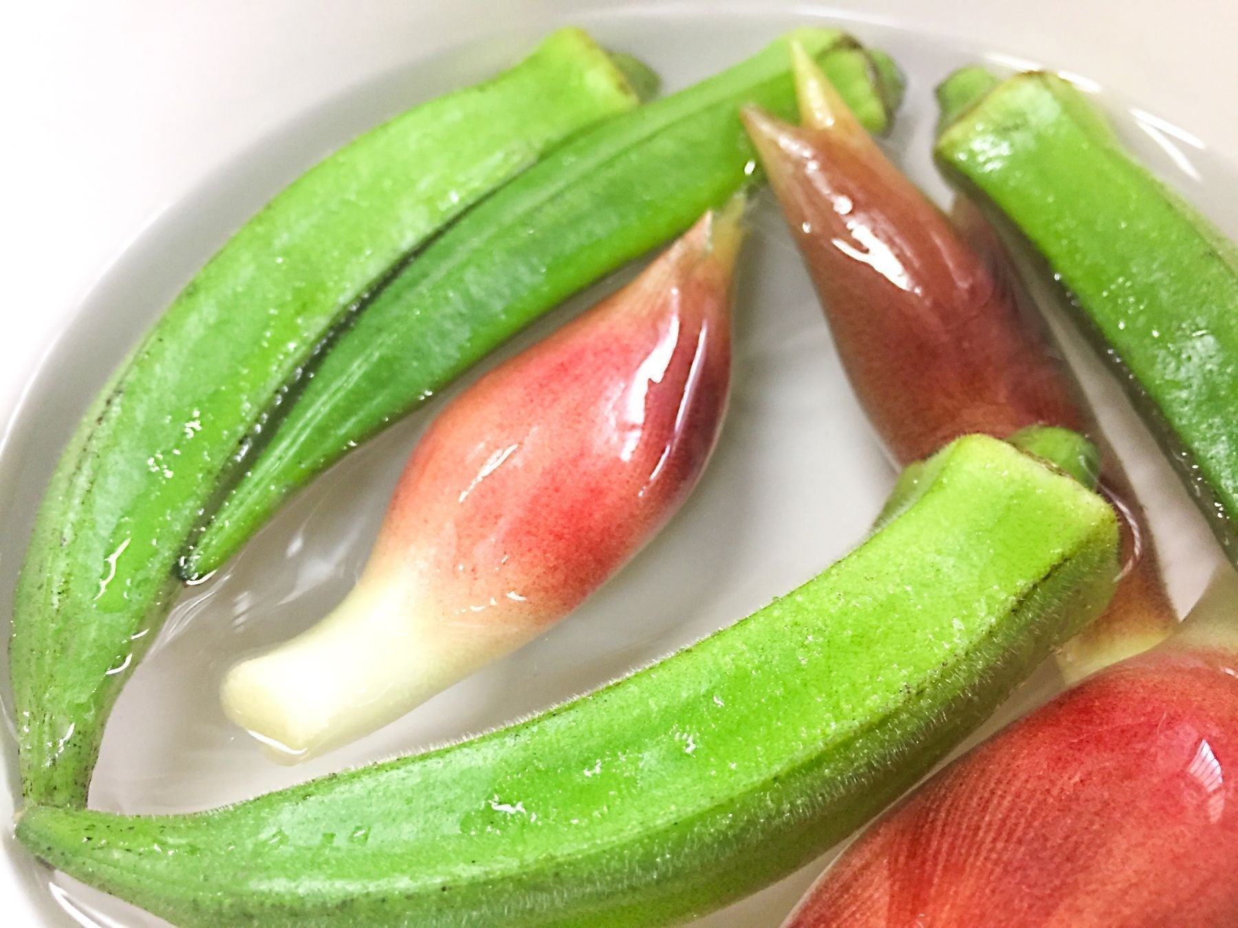 薬味文化とは？おくらとみょうがで知る和食の奥深さ
