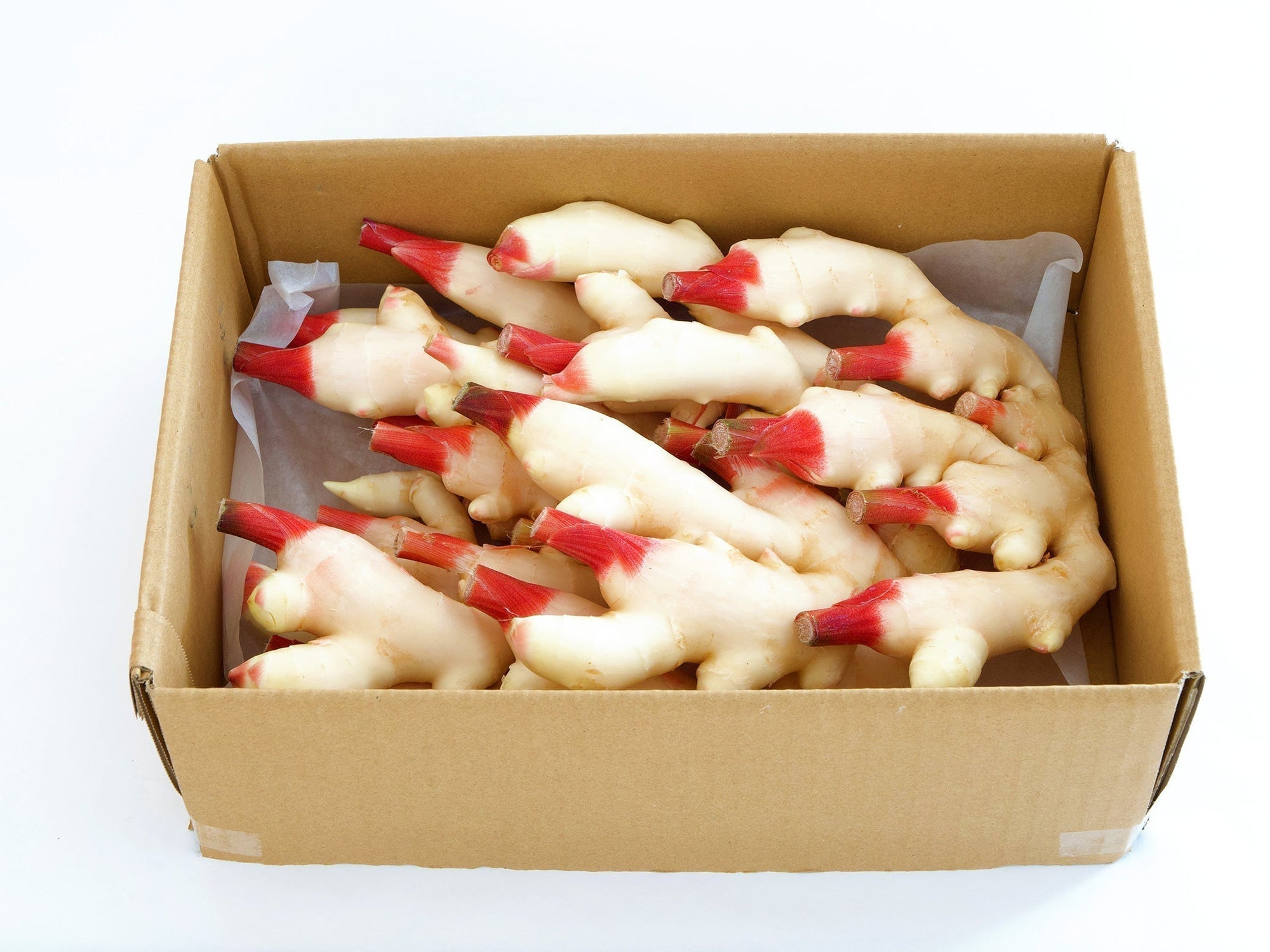 新しょうがの時期や旬はいつ？｜新しょうがの食べ方4選