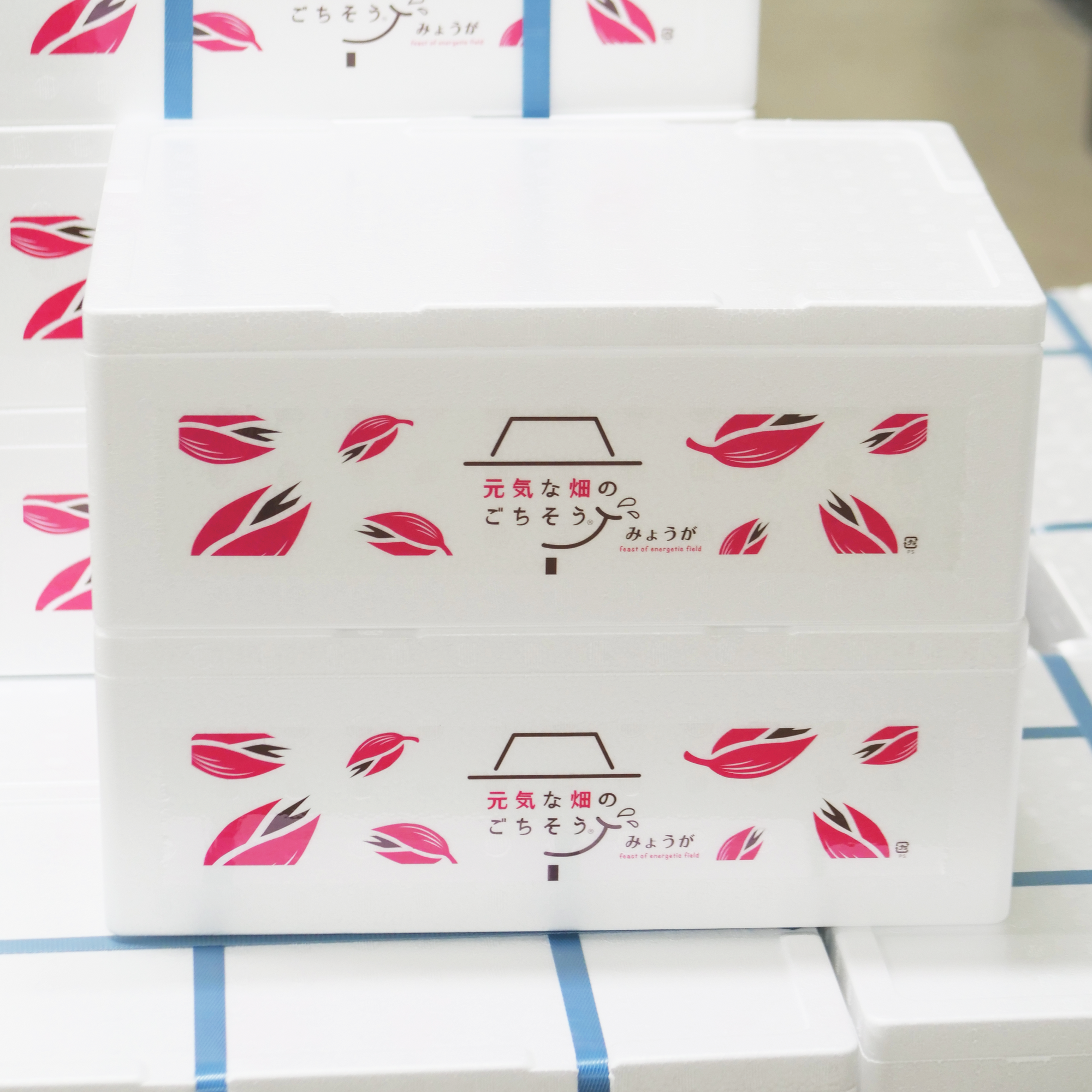 みょうが (40パック)2箱