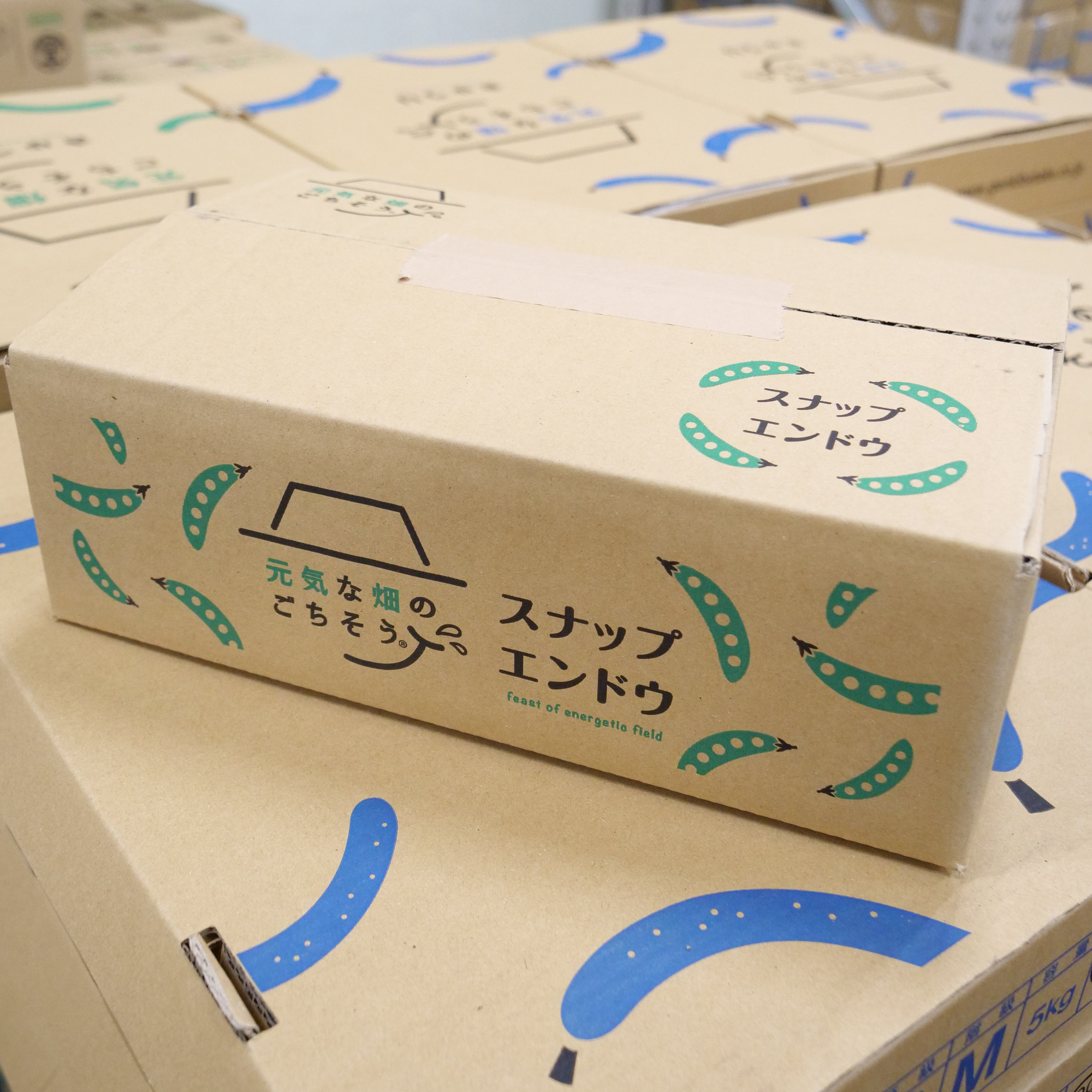 スナップエンドウ
