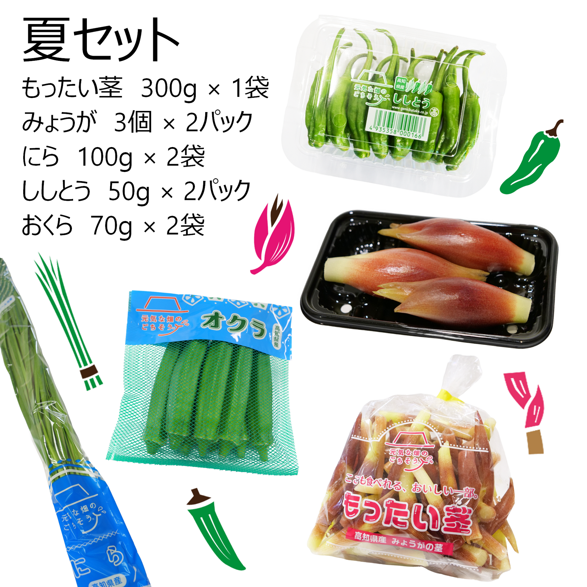 夏セット