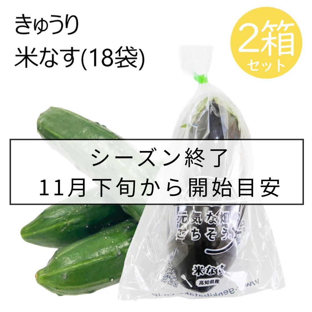 きゅうり米なすセット