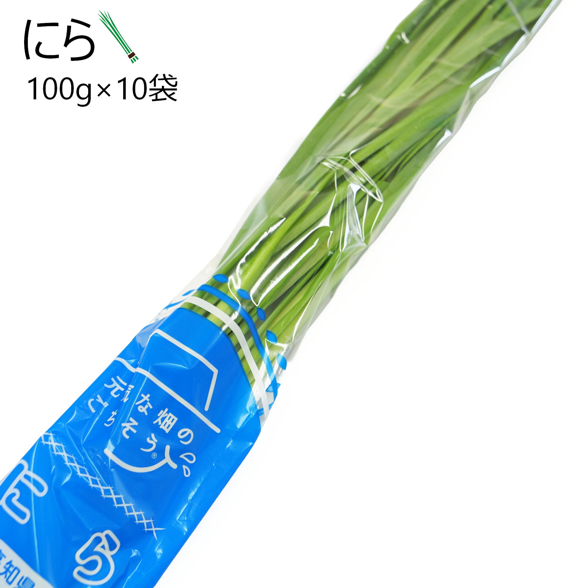 にら(10袋)