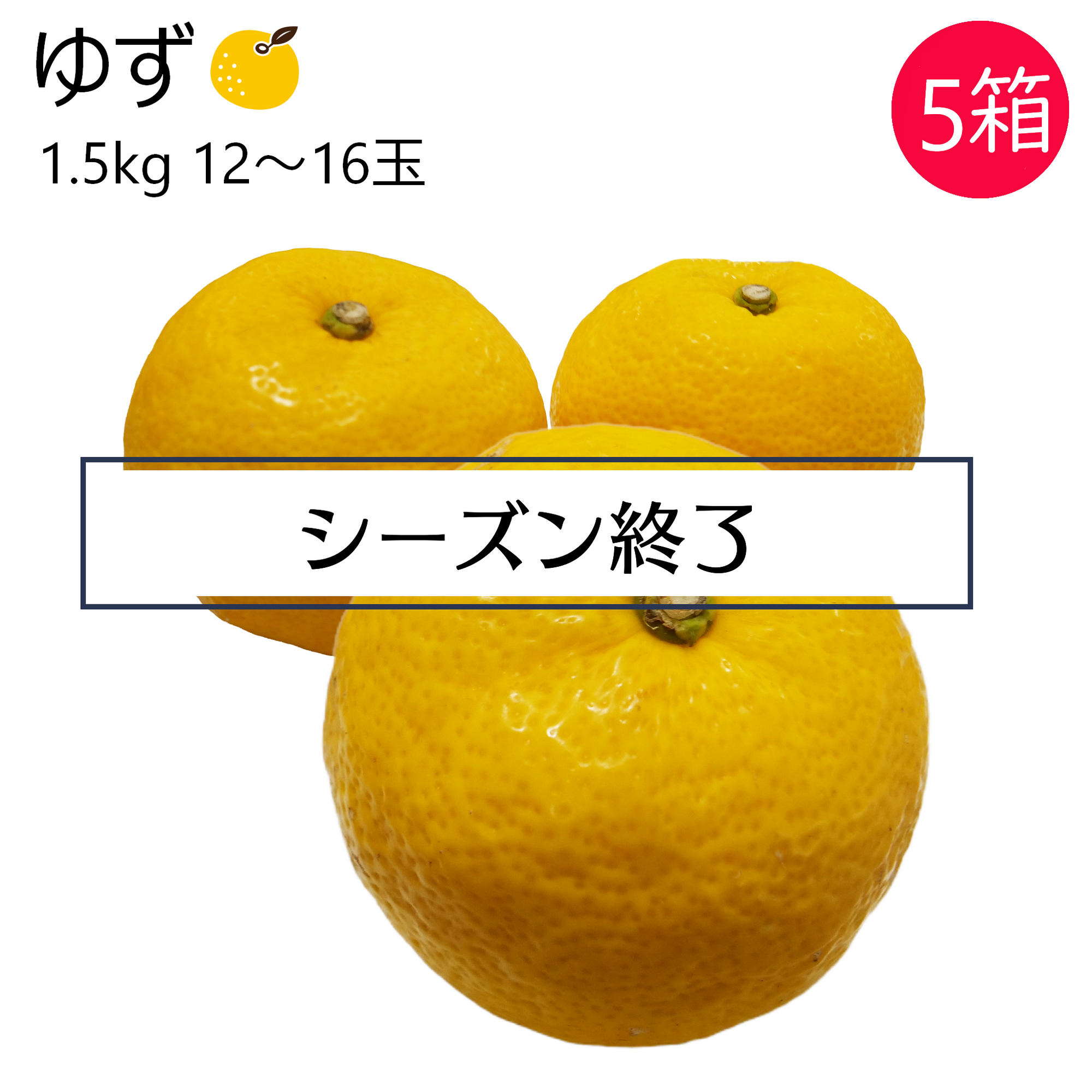 ゆず 5箱