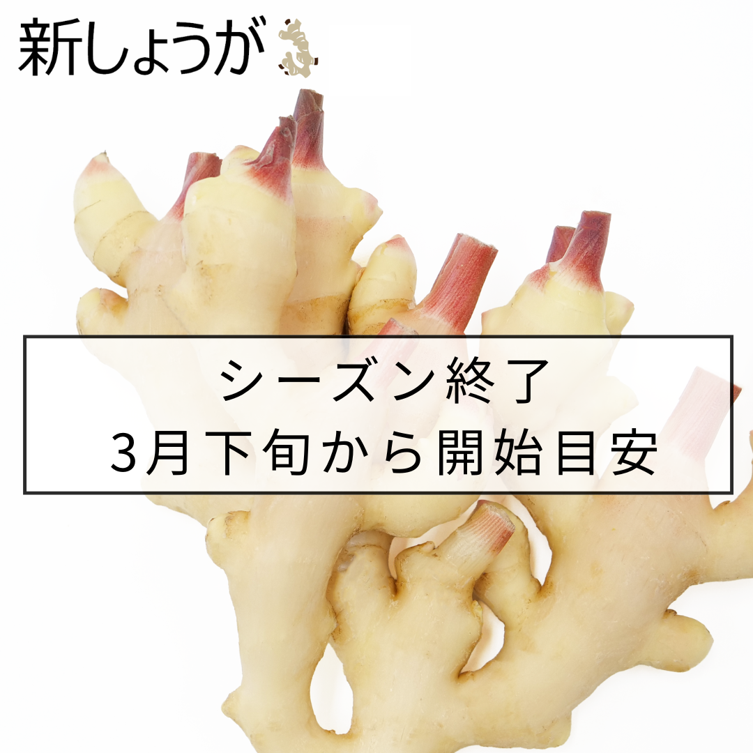 新しょうが
