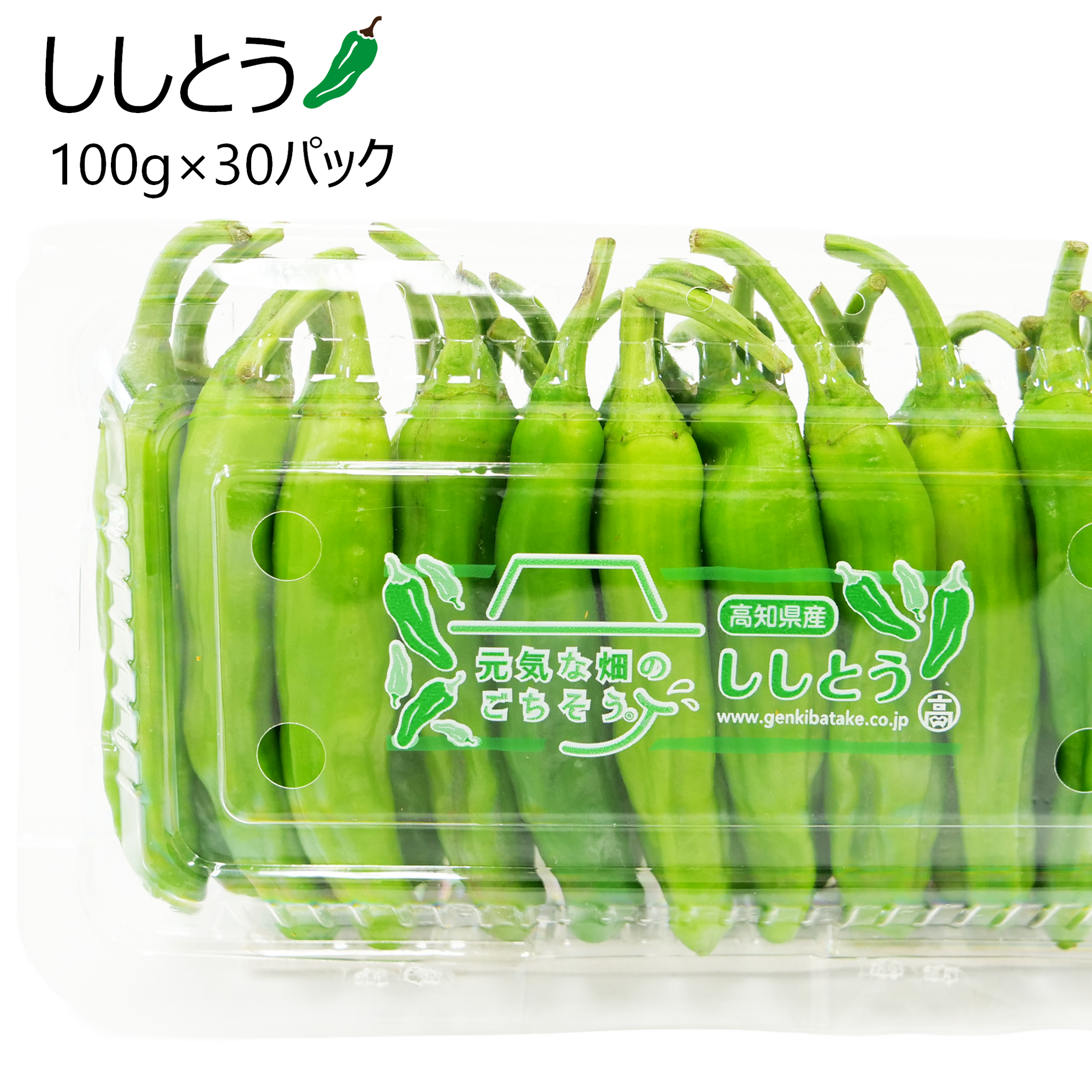 ししとう(100g×30パック)