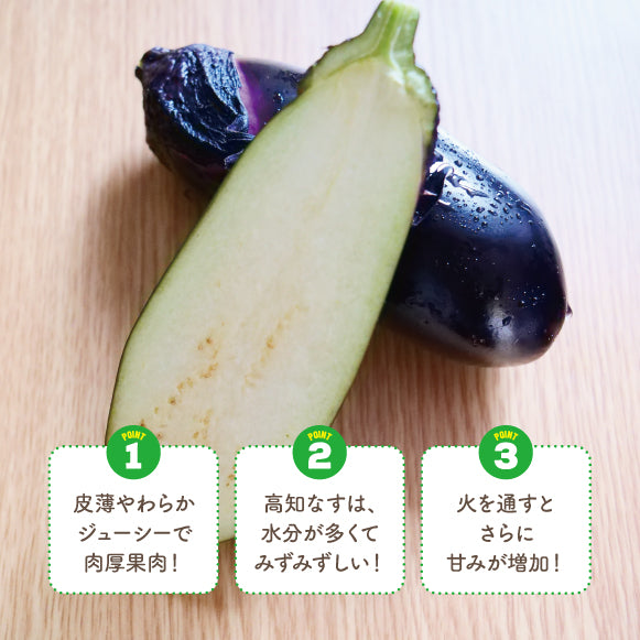 なす_Ｍサイズ