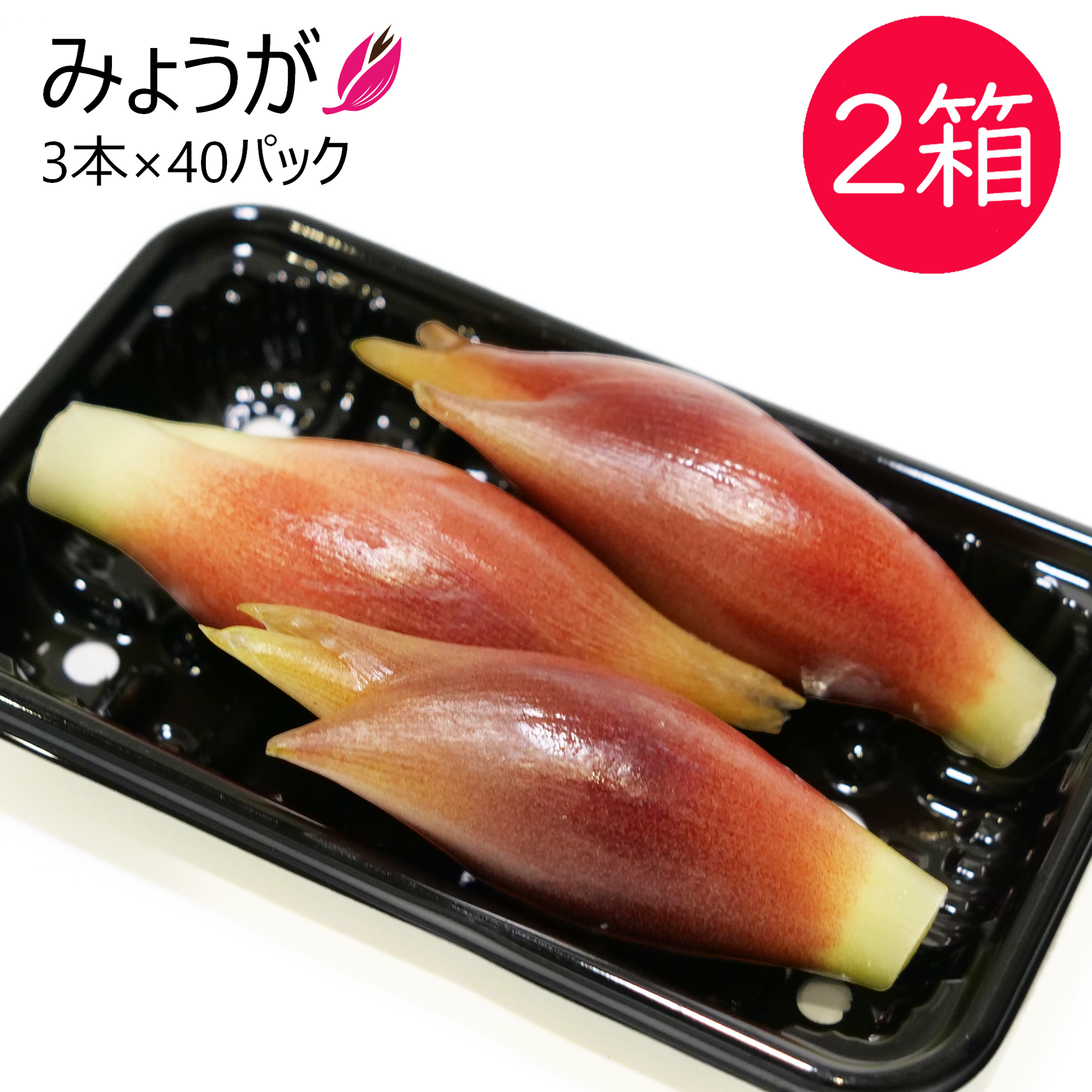 みょうが 2箱