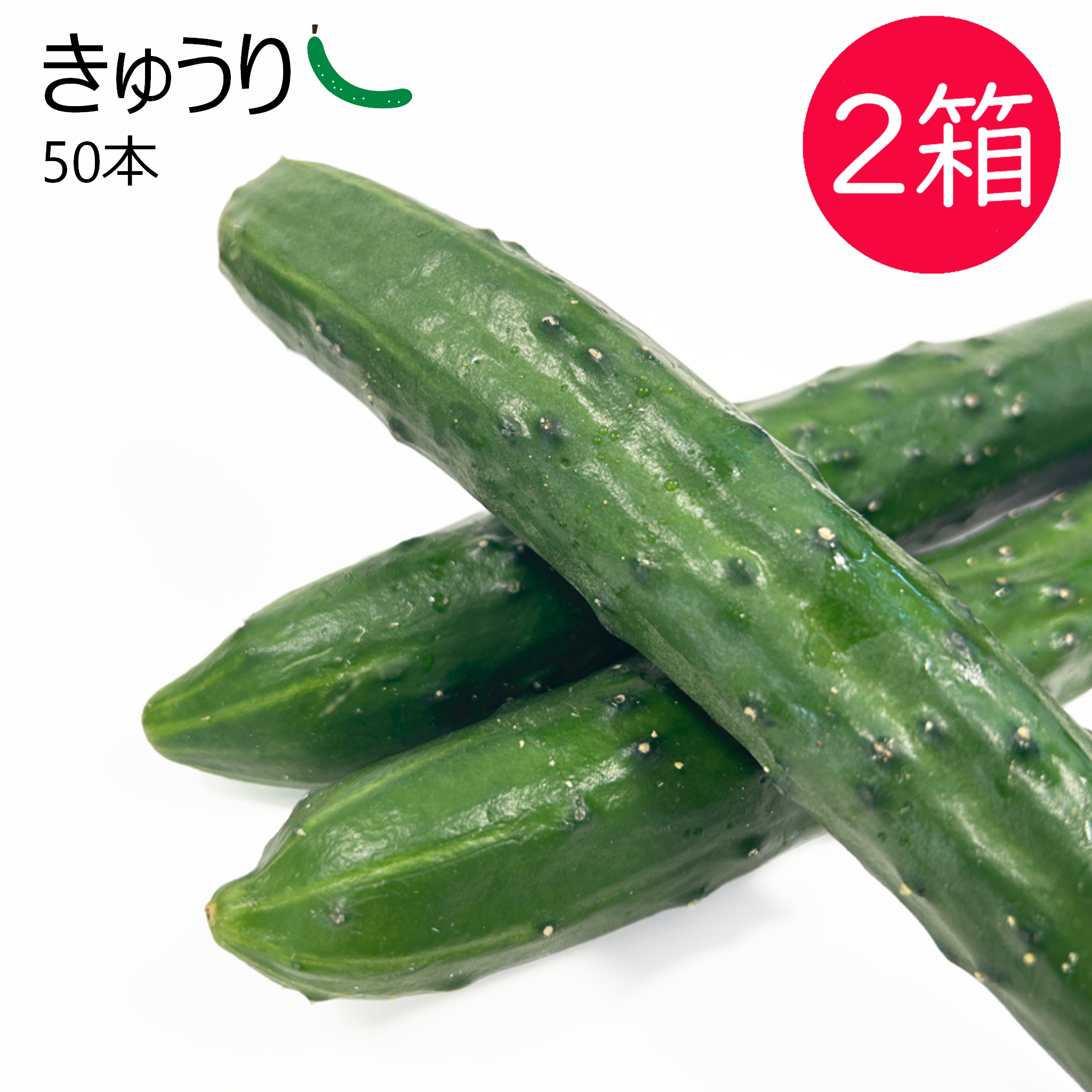 きゅうり 2箱 – 元気な畑のごちそう便