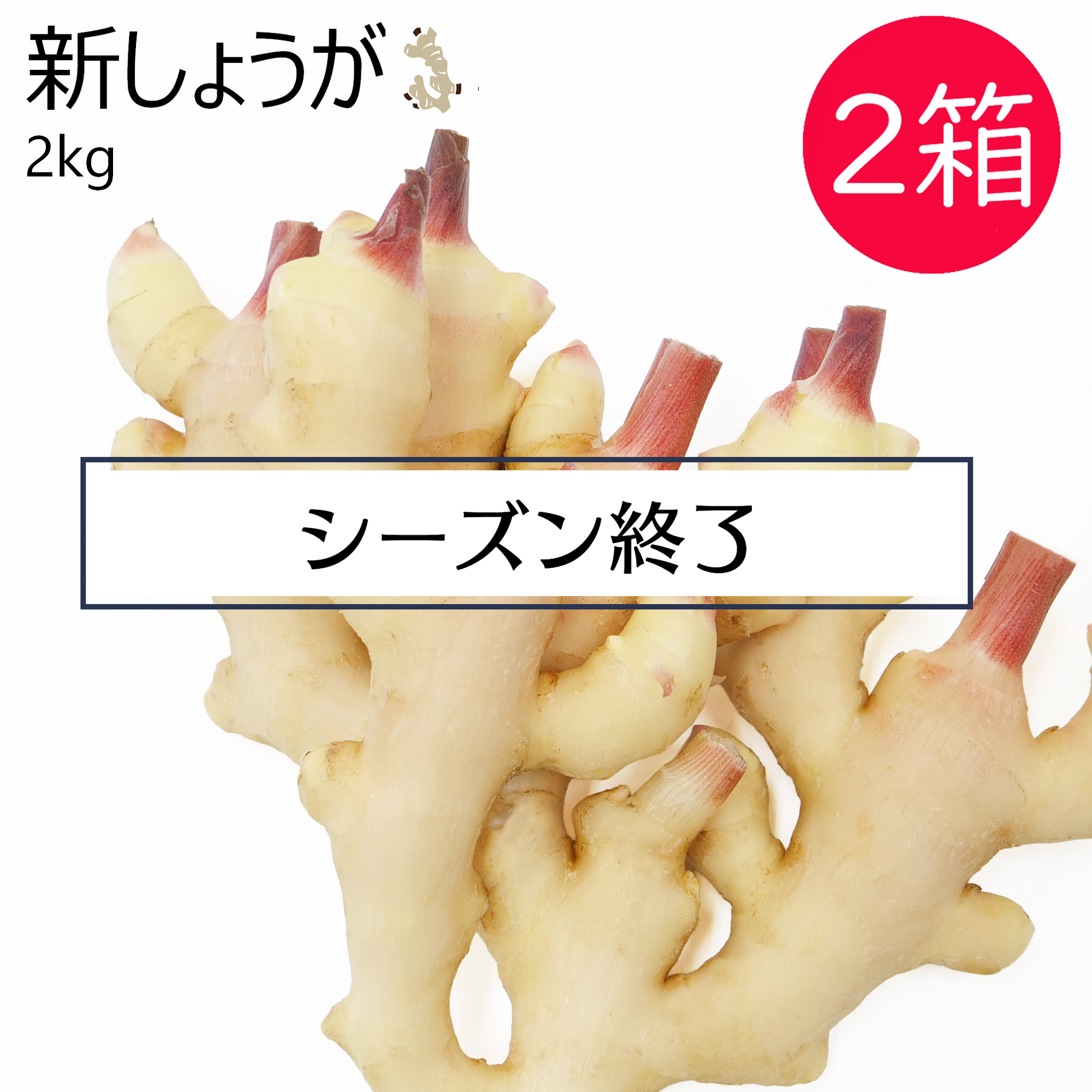 新しょうが(2kg)2箱