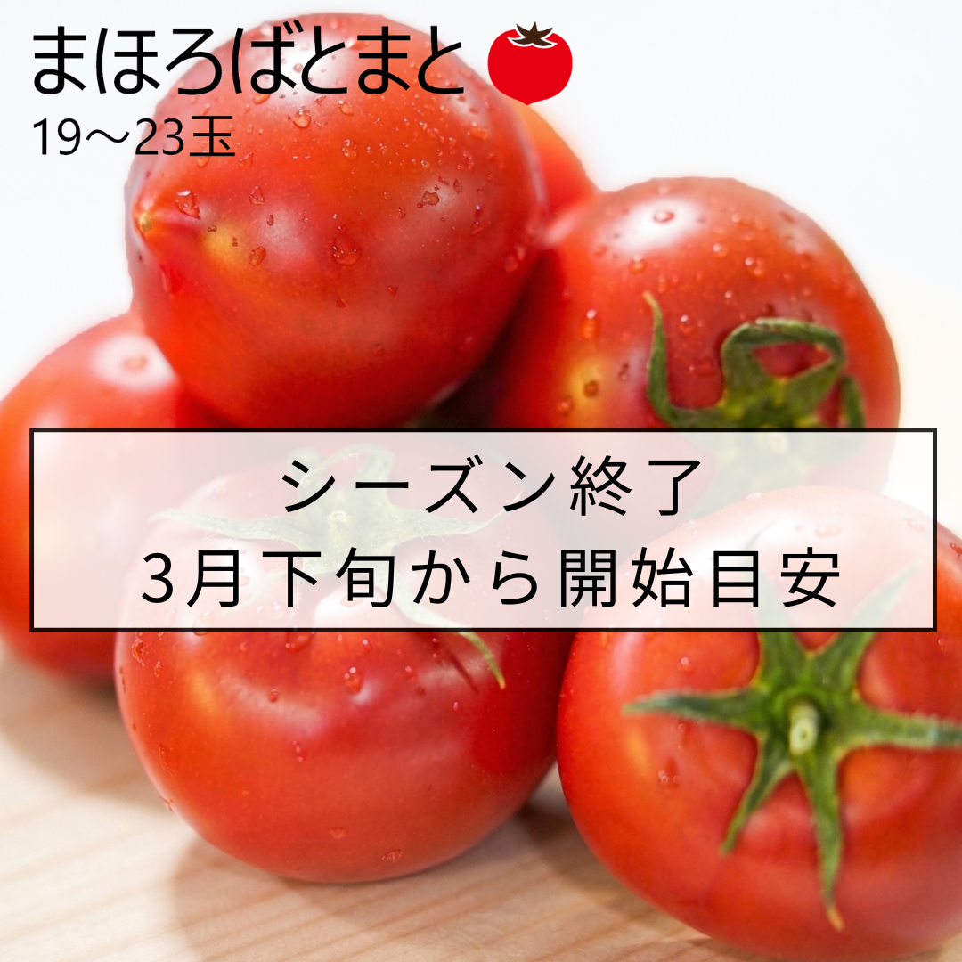 まほろばとまと