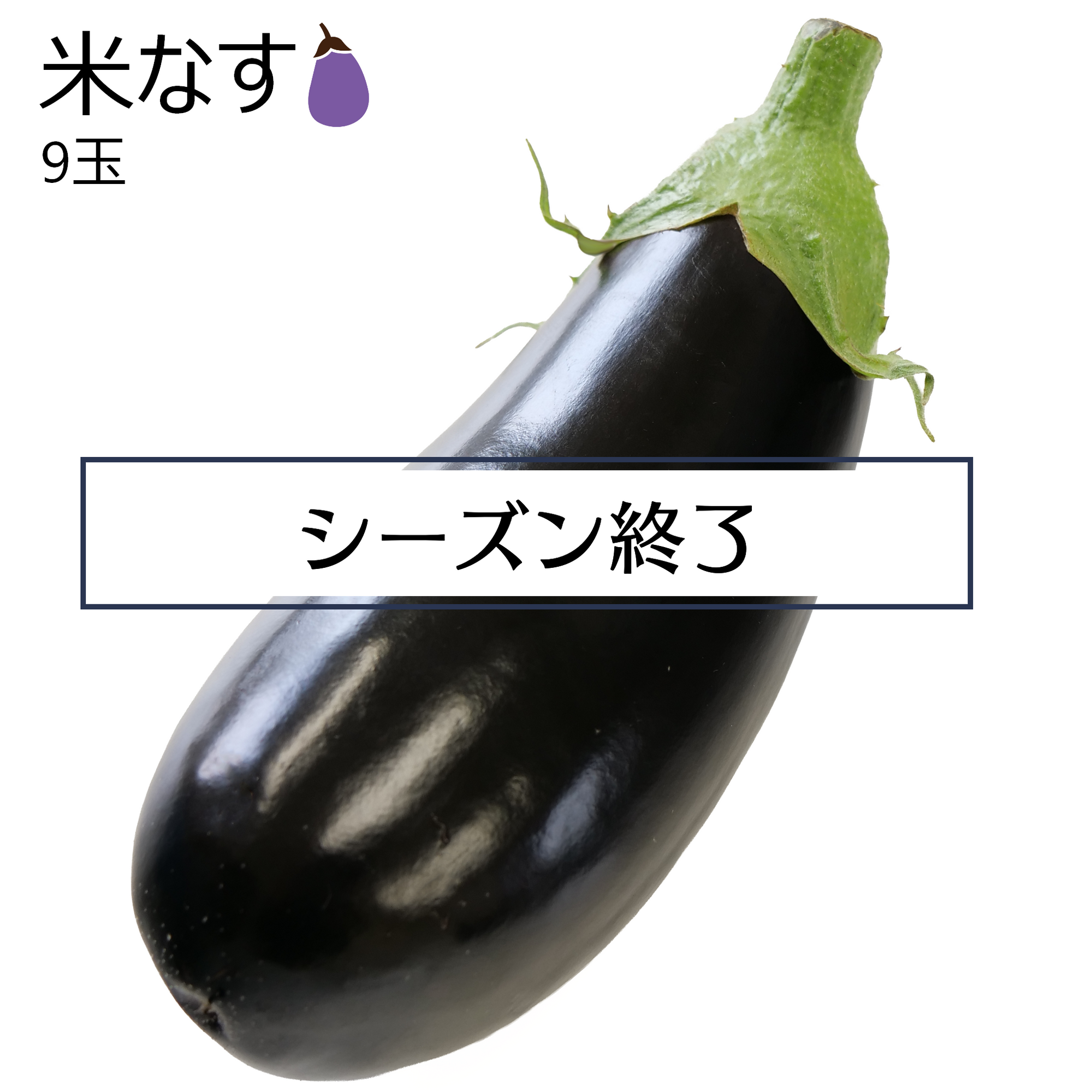 米なす(9玉)