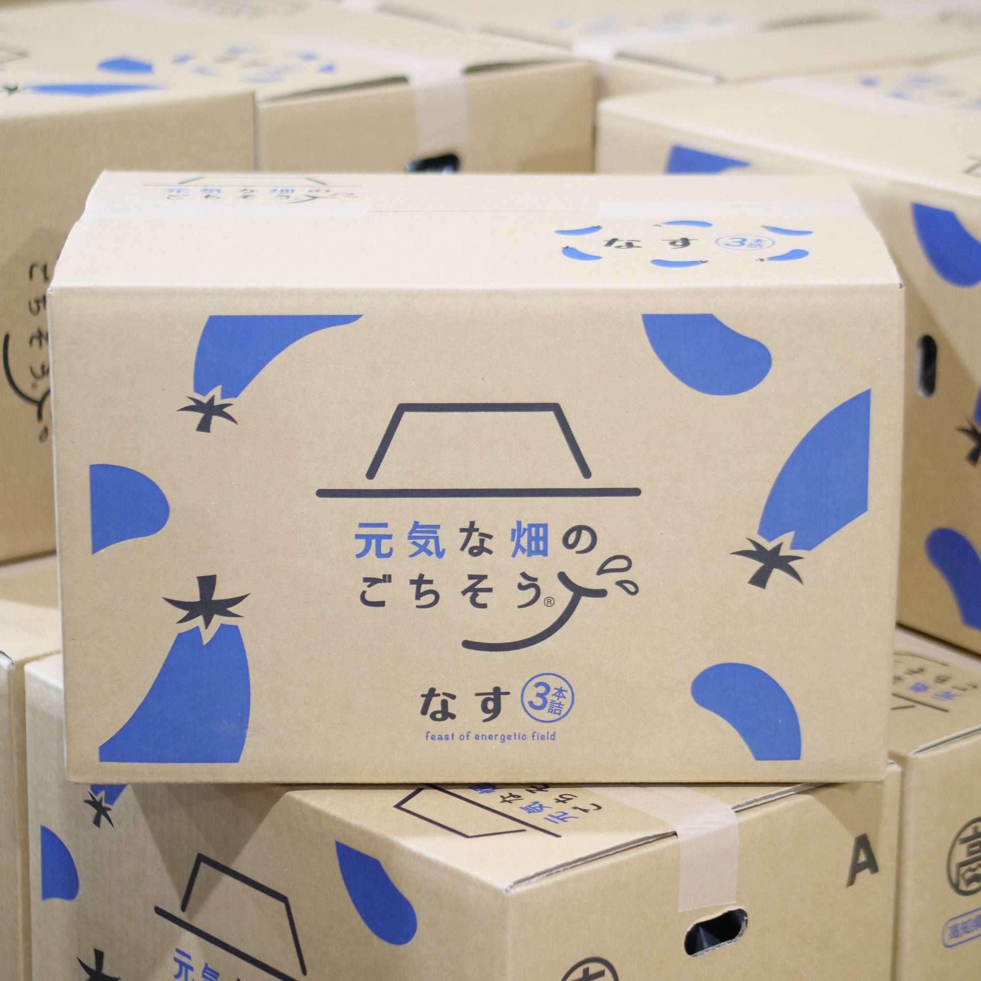 なす (L 3本×40袋)