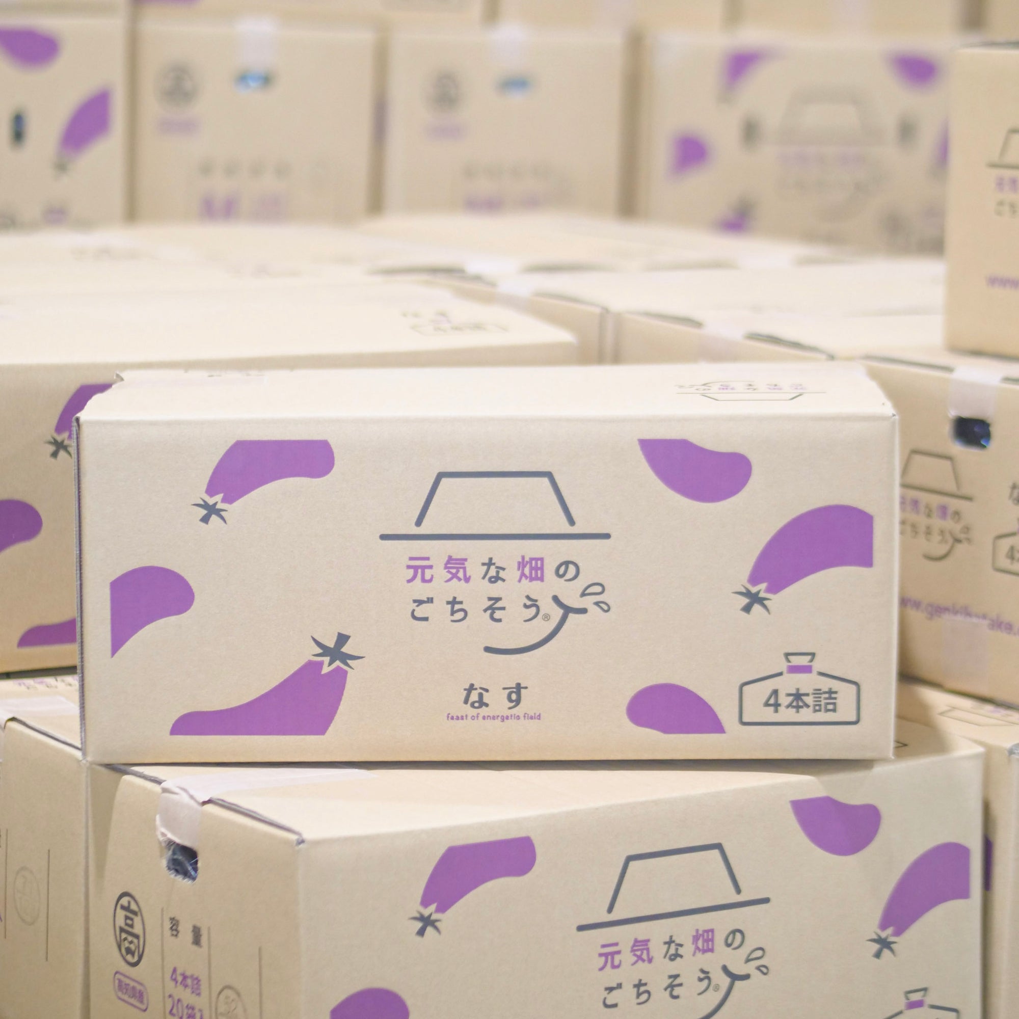 なす (M 4本×35袋)