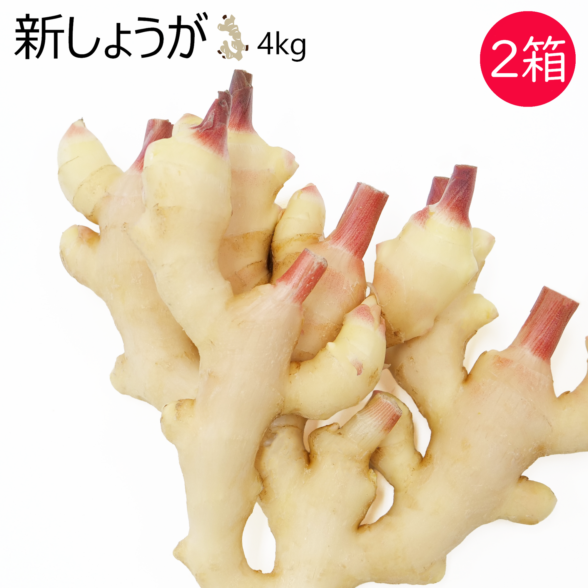 新しょうが(4kg)2箱