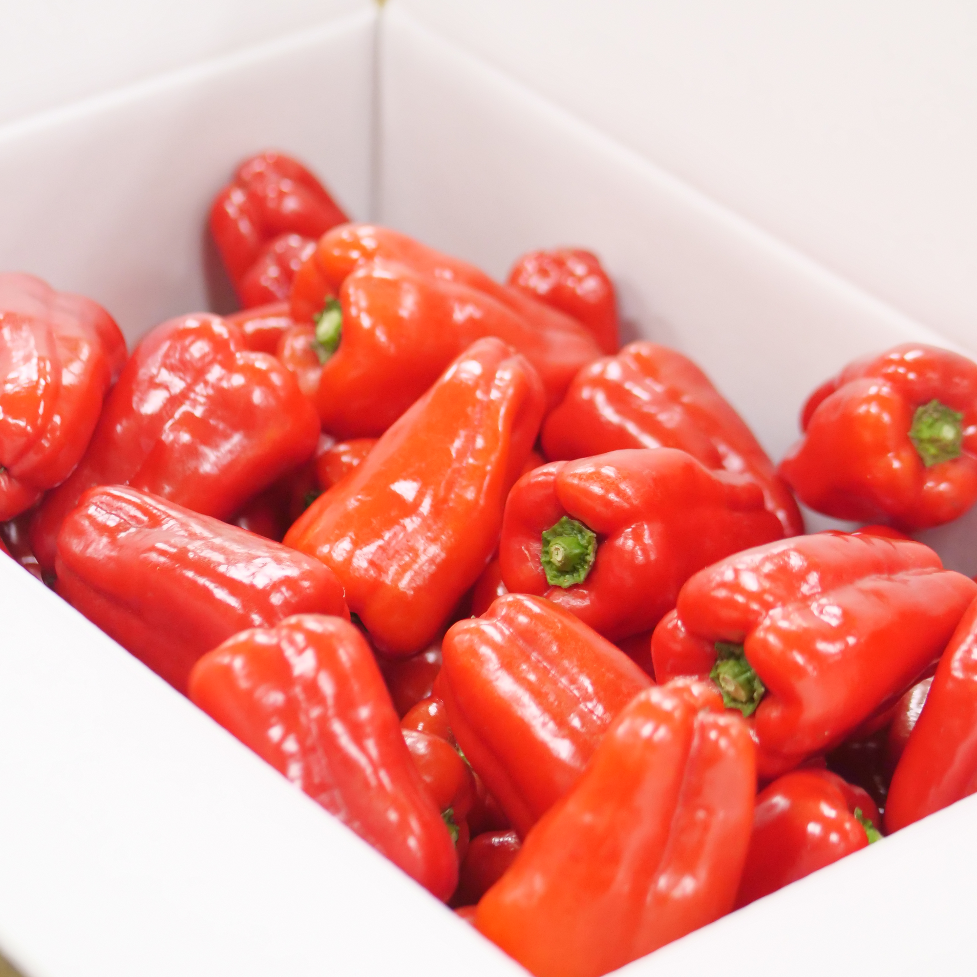 赤ピーマン(3kg)