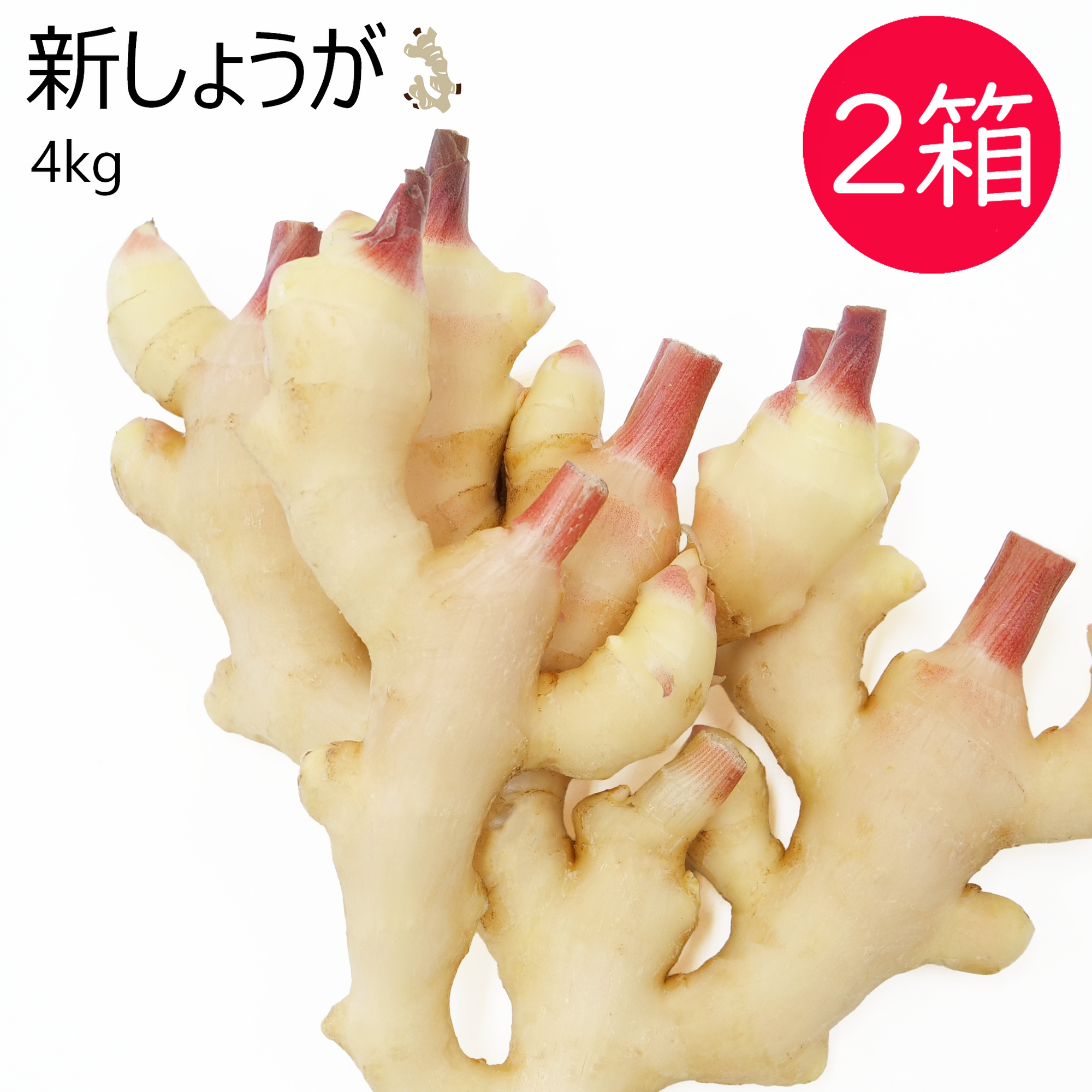 新しょうが(4kg) 2箱