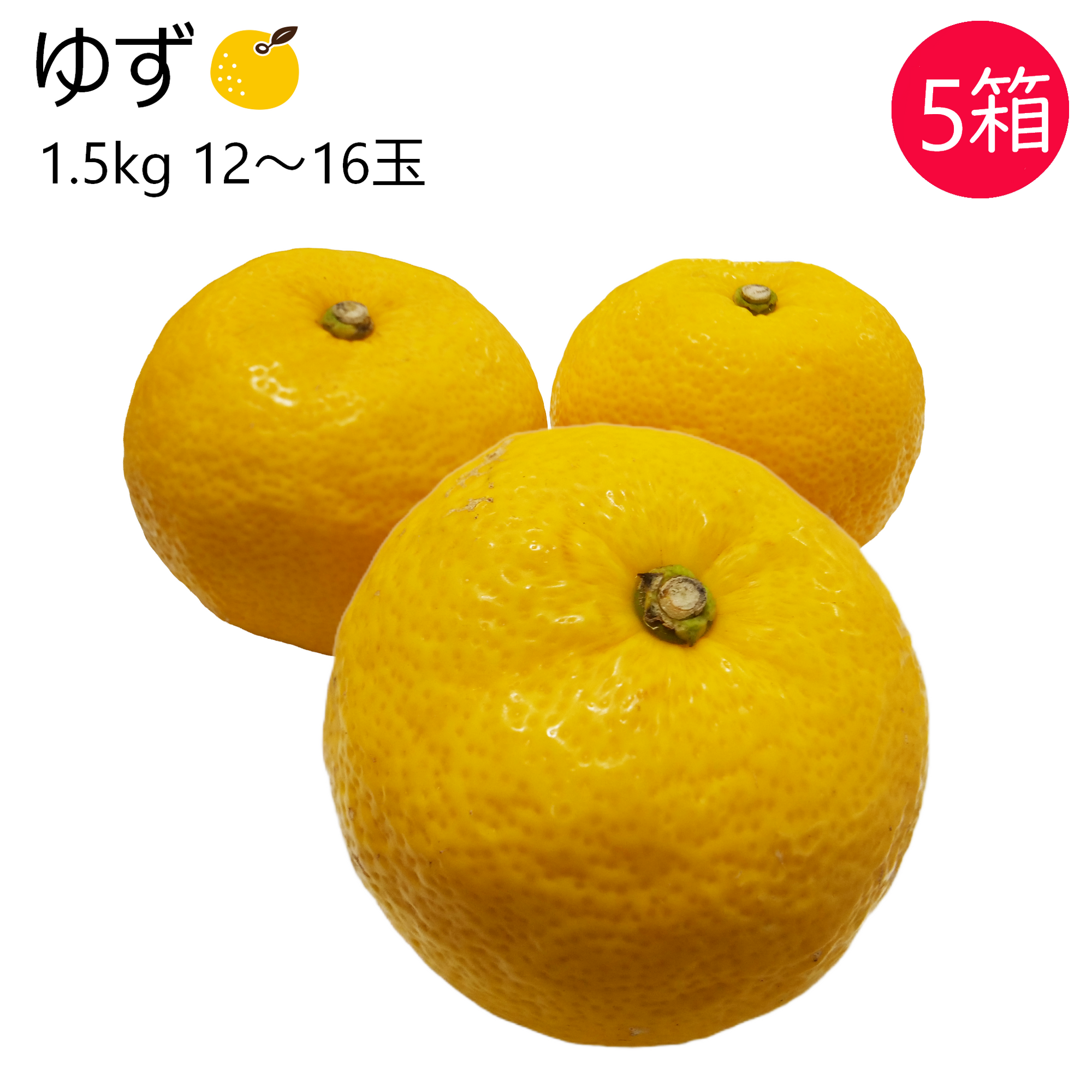 ゆず 5箱