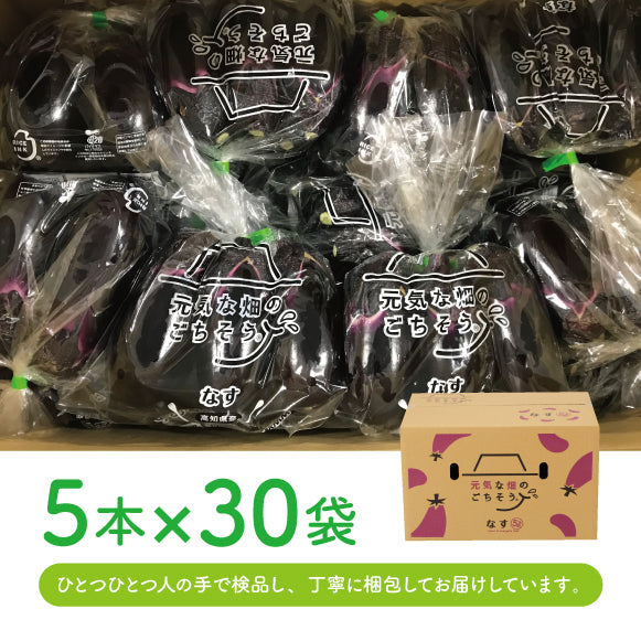 なす_Ｍサイズ