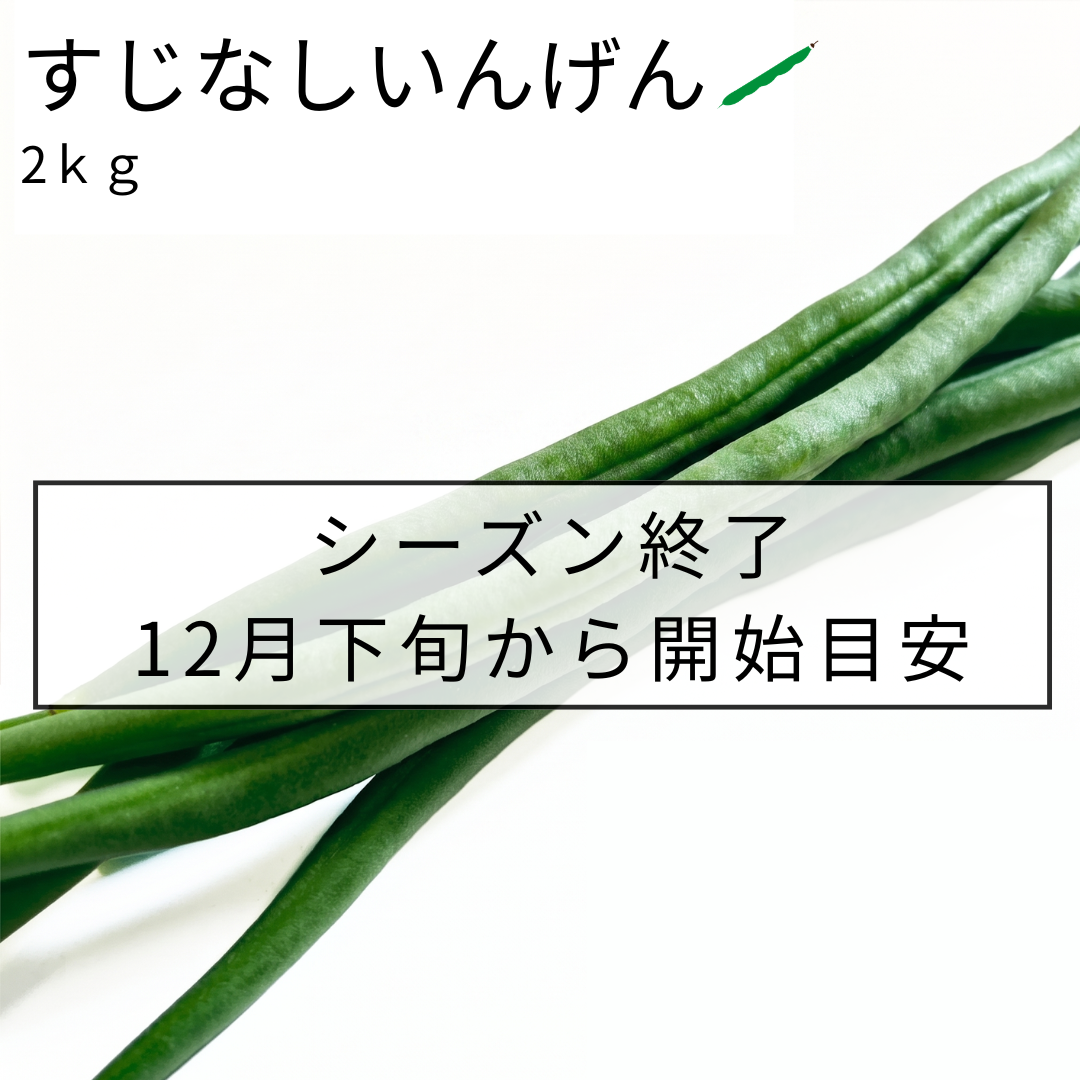 すじなしいんげん