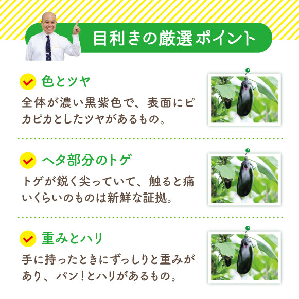 なす_Ｍサイズ