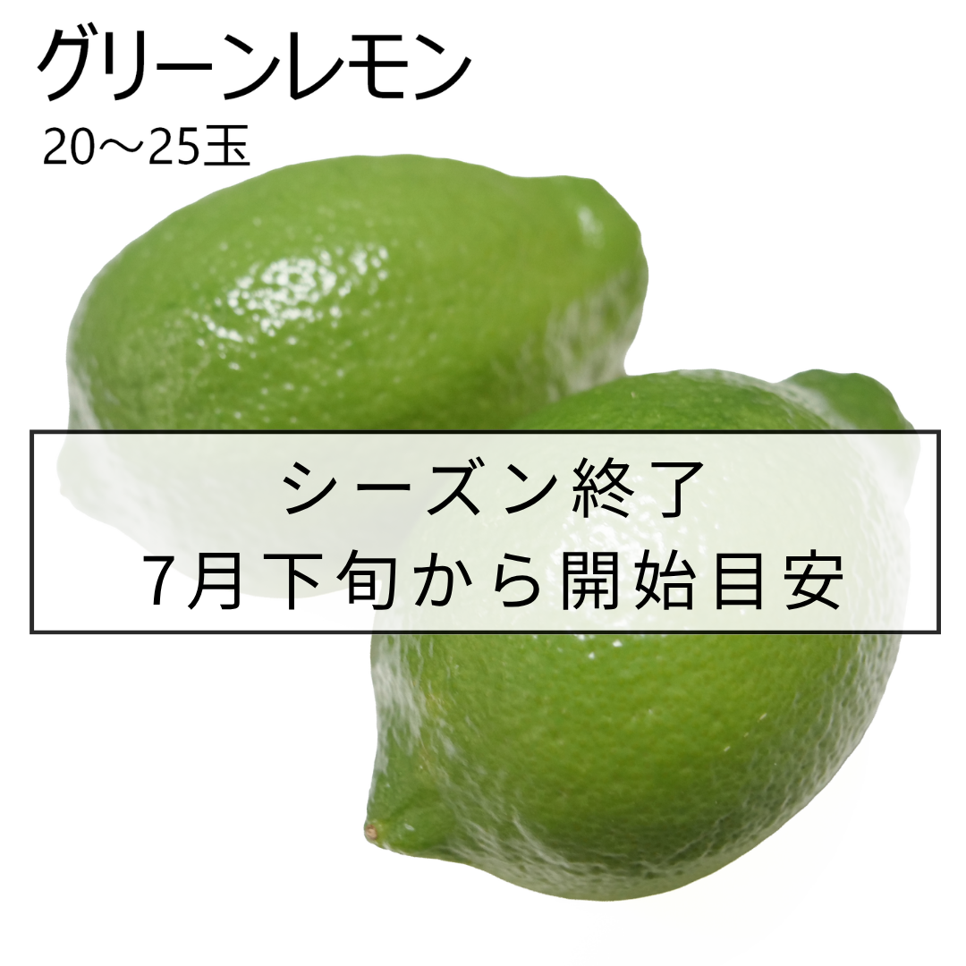 グリーンレモン_20玉～25玉