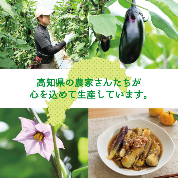 なす_Ｍサイズ