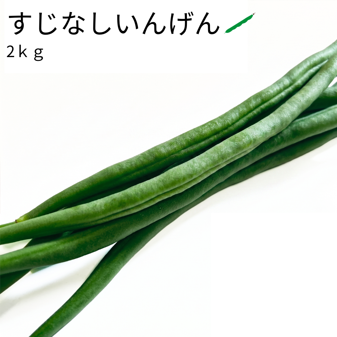 すじなしいんげん