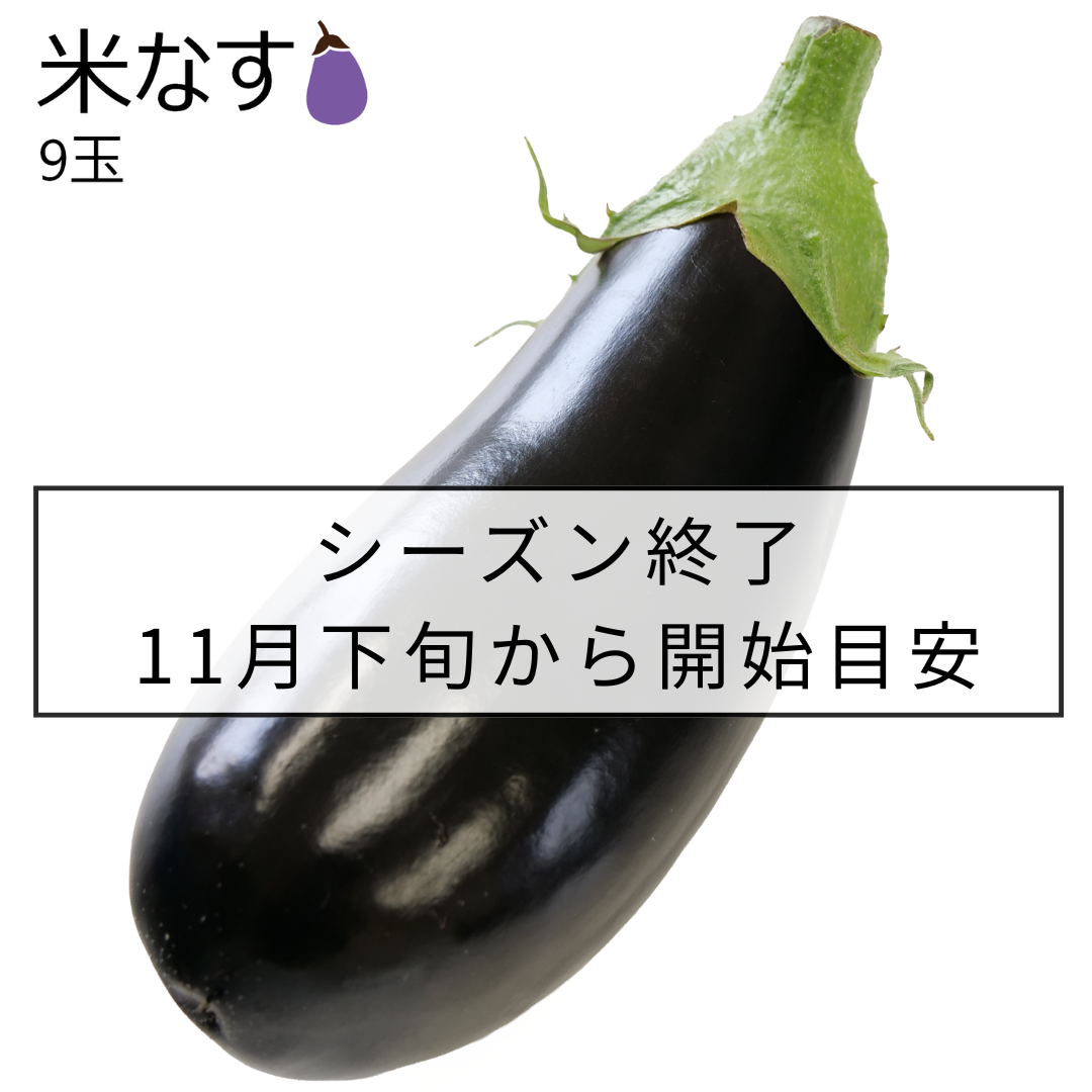 米なす(9玉)