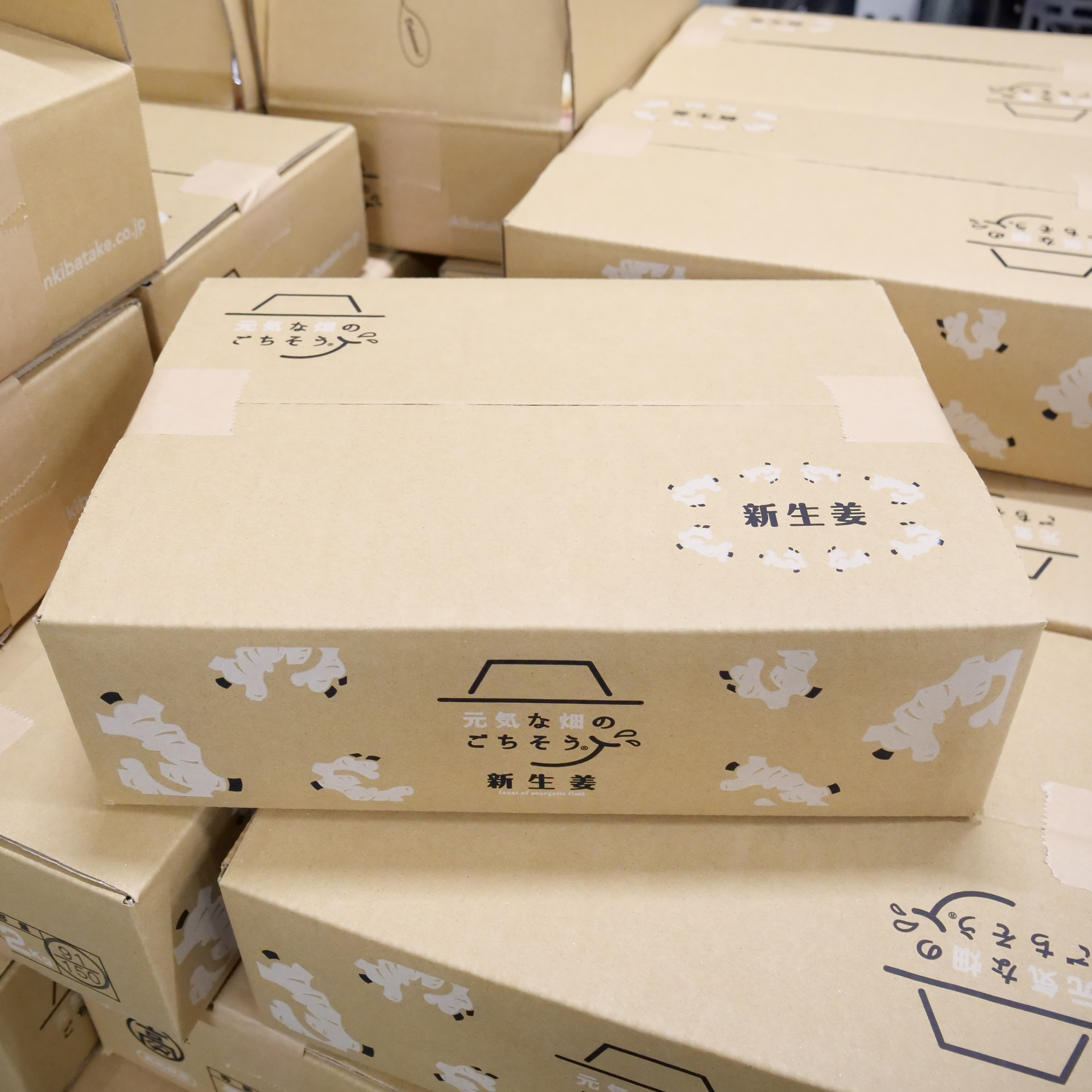 新しょうが(2kg)