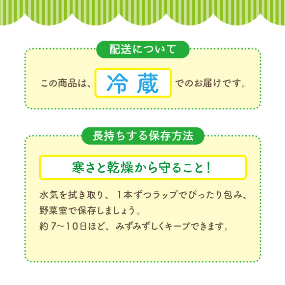 なす_Ｌサイズ