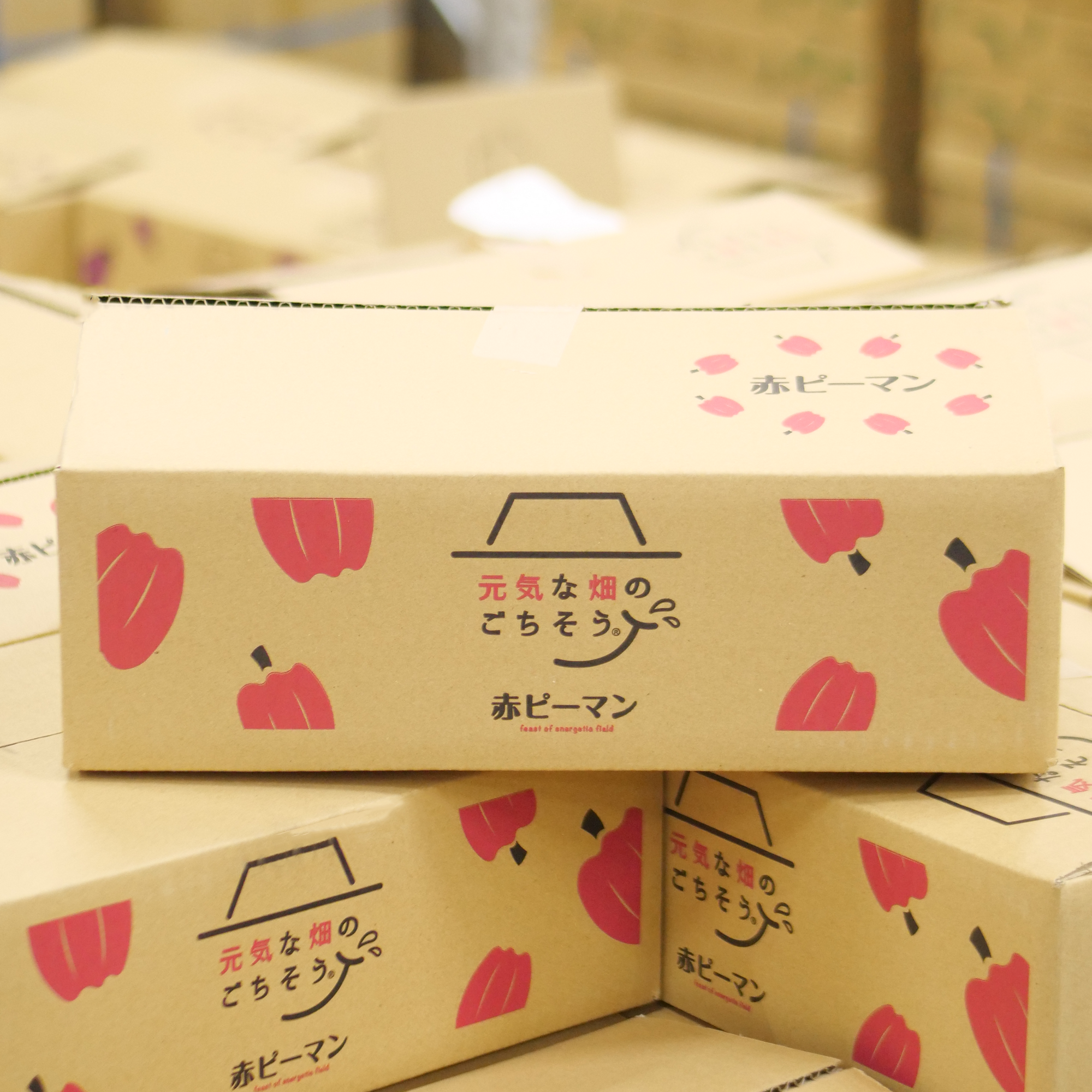 赤ピーマン(3kg)