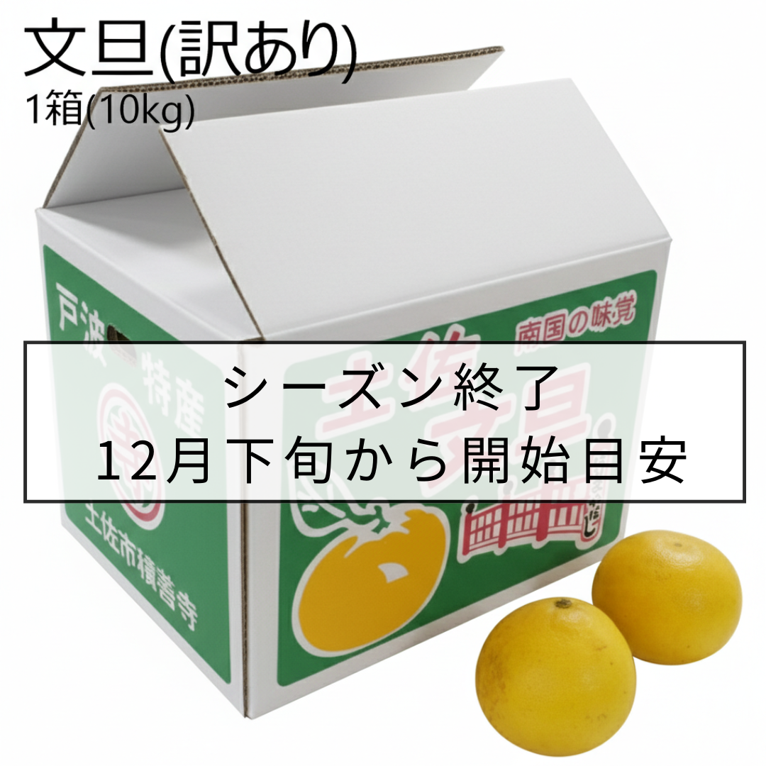 文旦(訳あり)