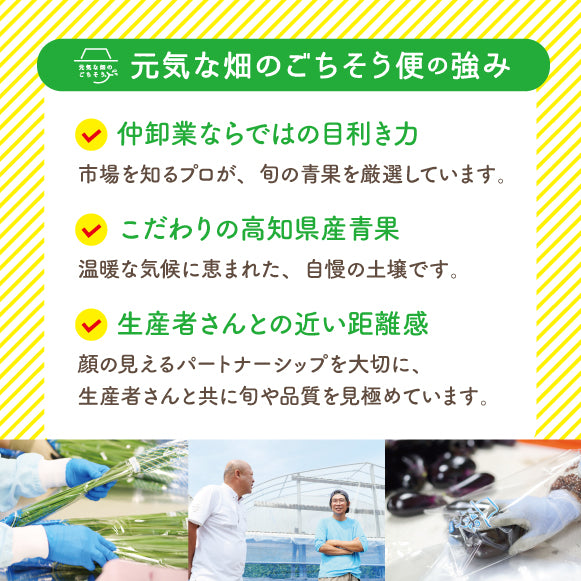 なす_Ｍサイズ