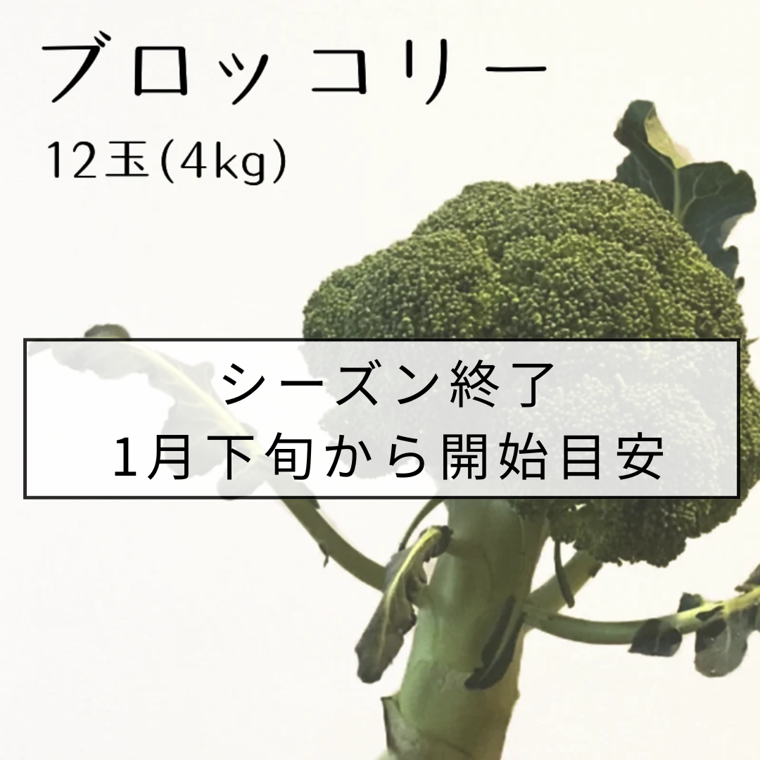 ブロッコリー